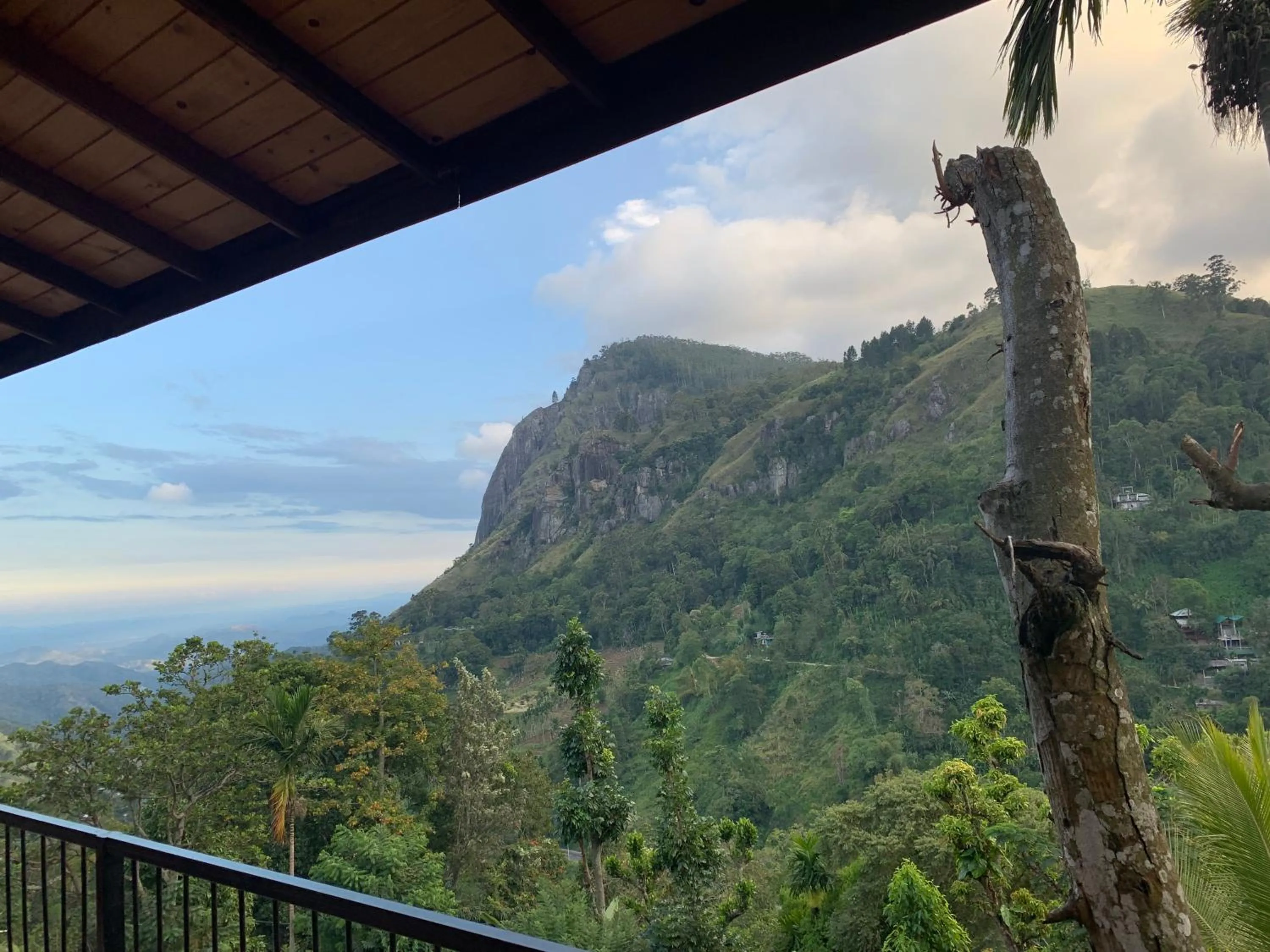 Mountain view in Country Homes