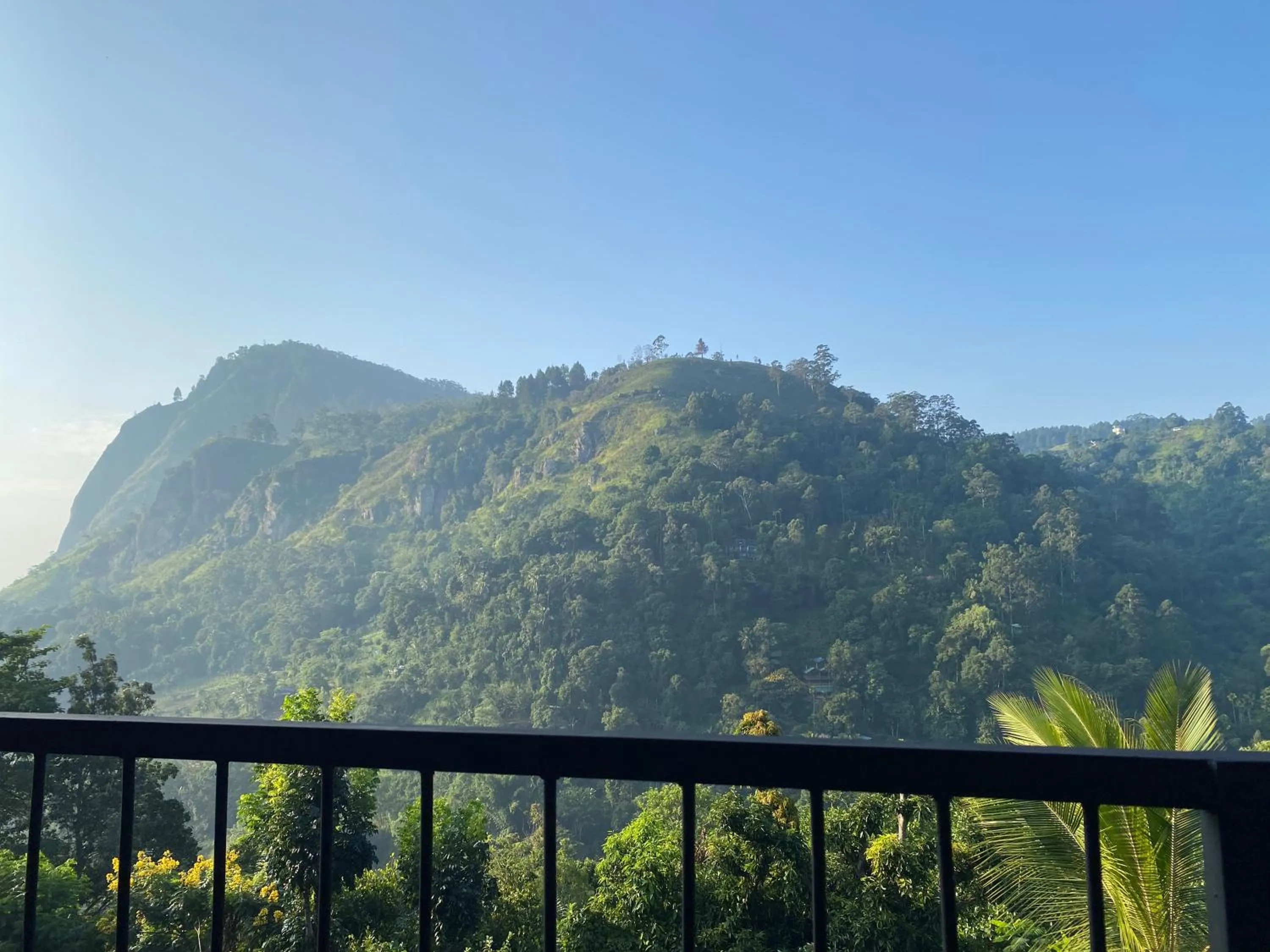 Mountain view in Country Homes