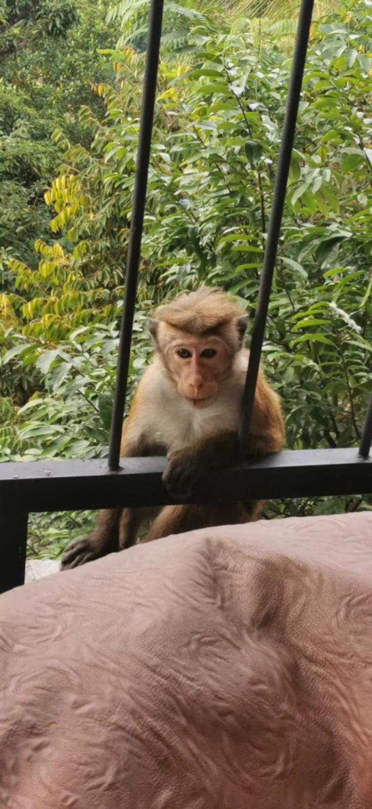 Natural landscape in Country Homes