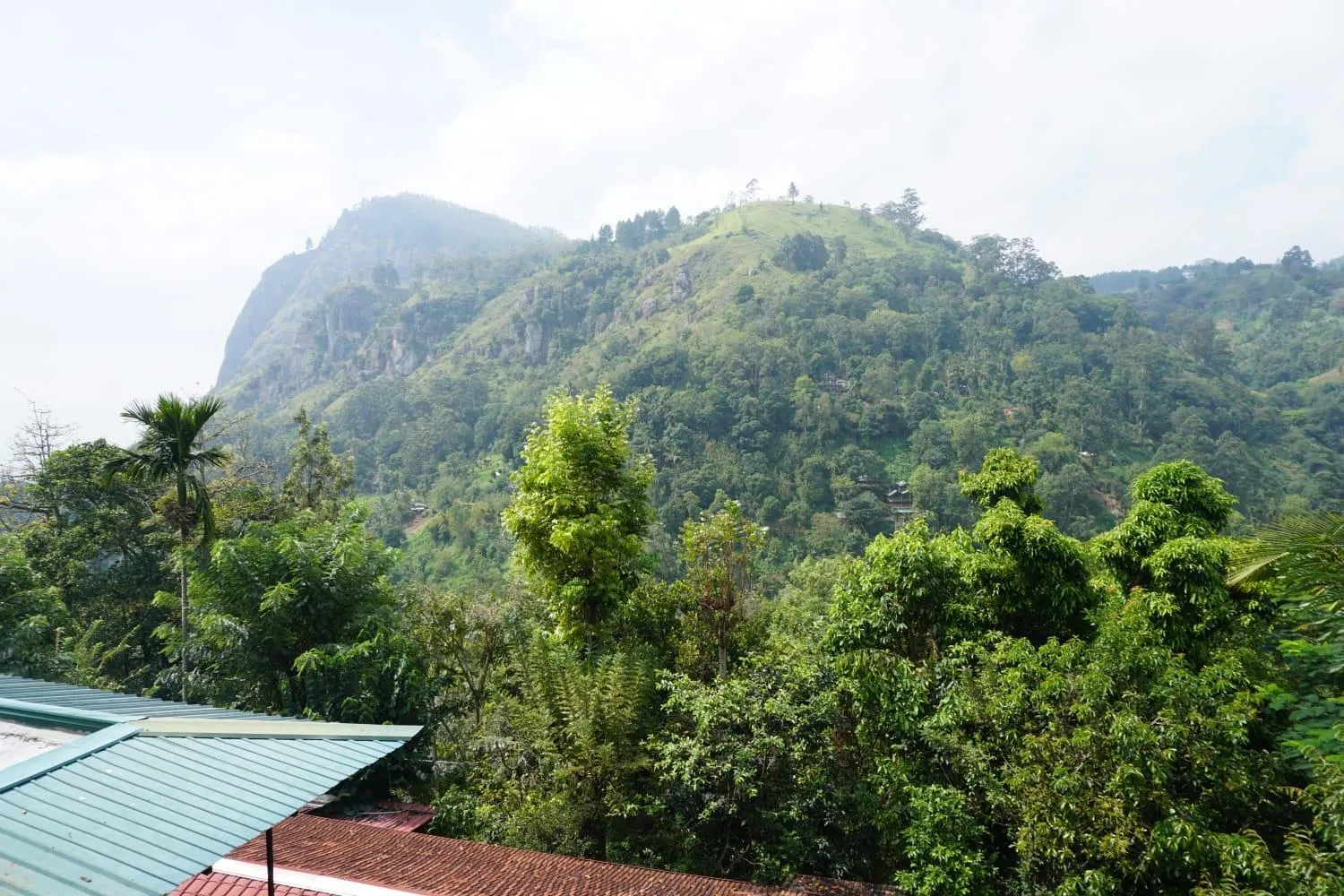 Mountain view in Country Homes