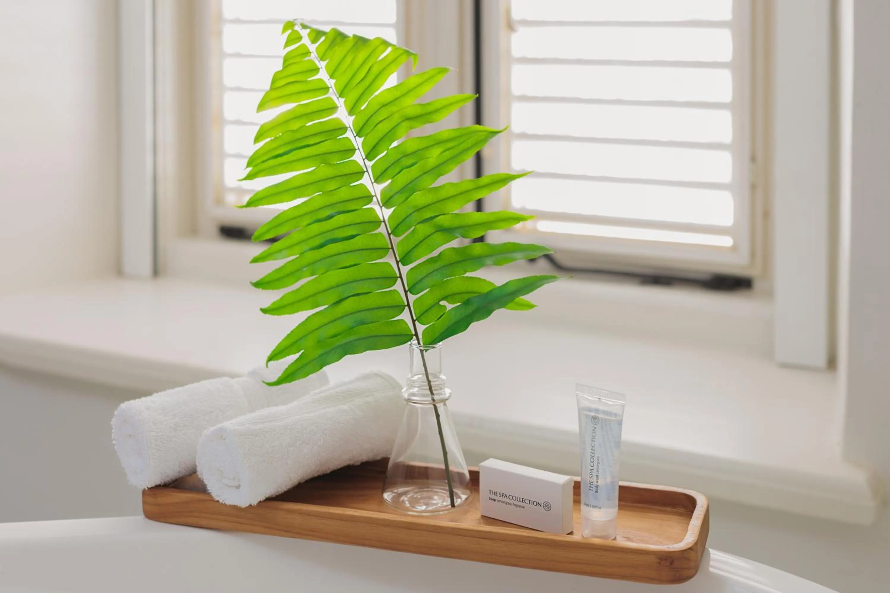 Photo of the whole room in Kura Botanica Hotel