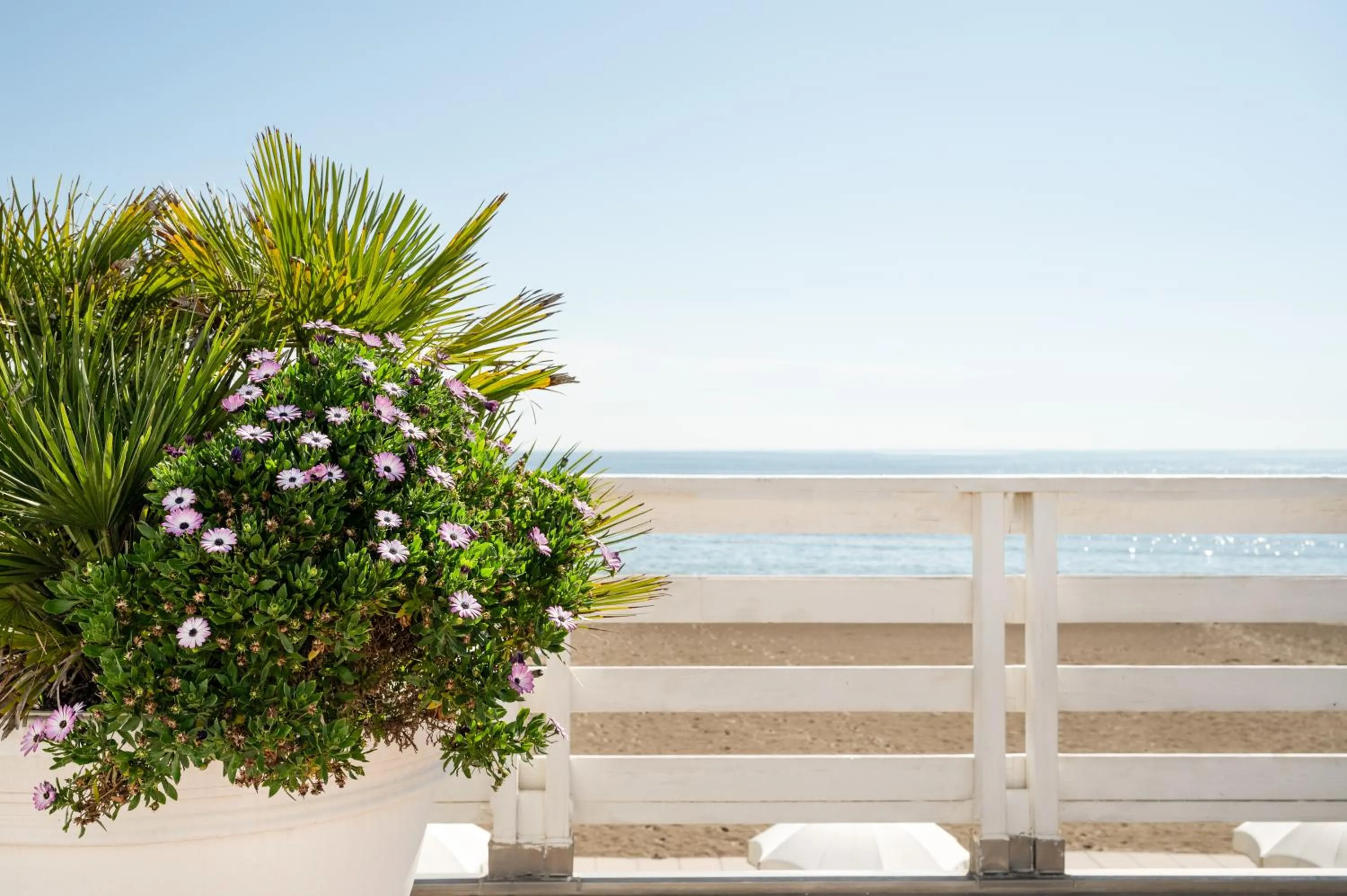 Balcony/Terrace in Terme Beach Resort