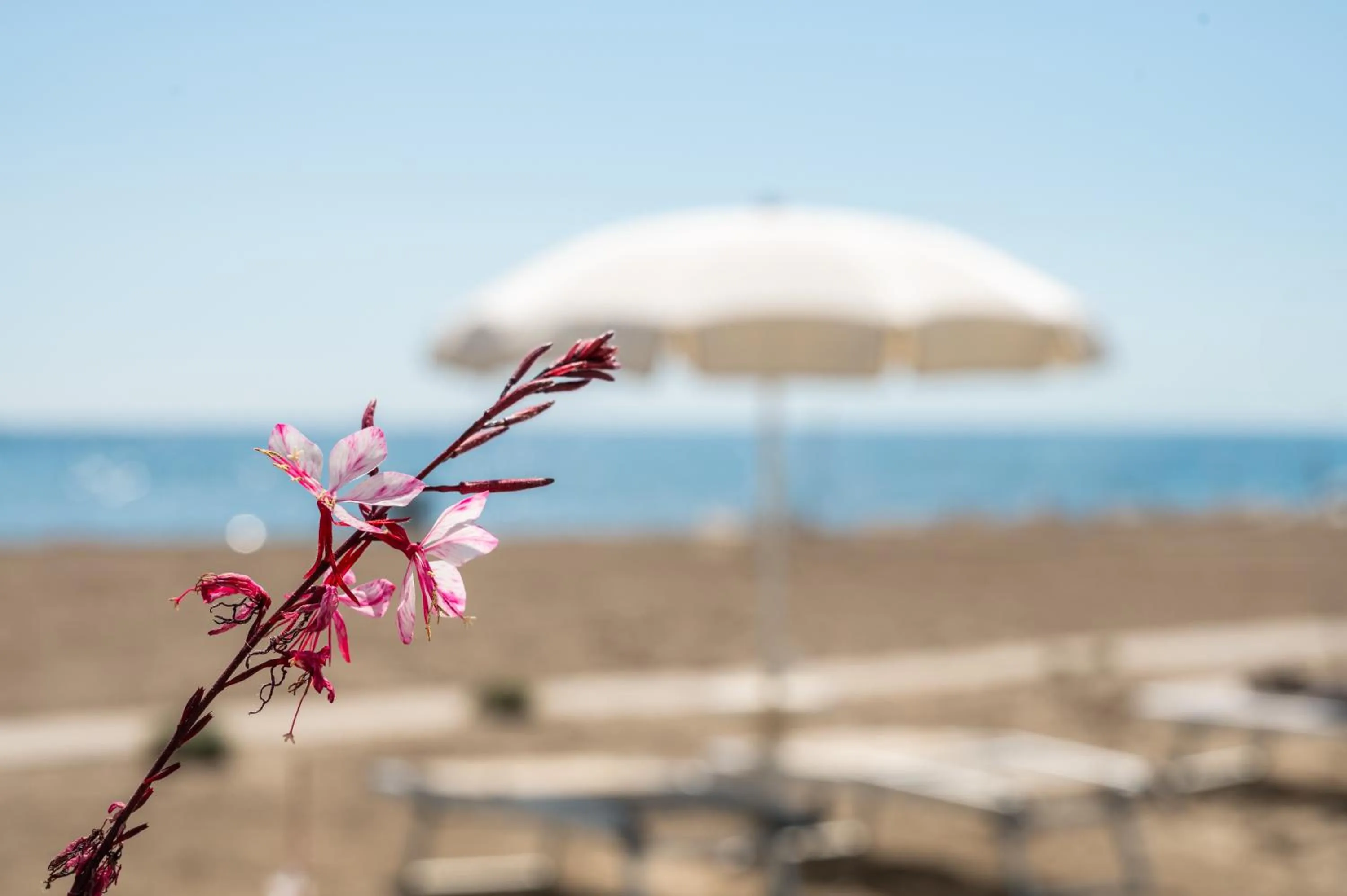 Natural landscape in Terme Beach Resort