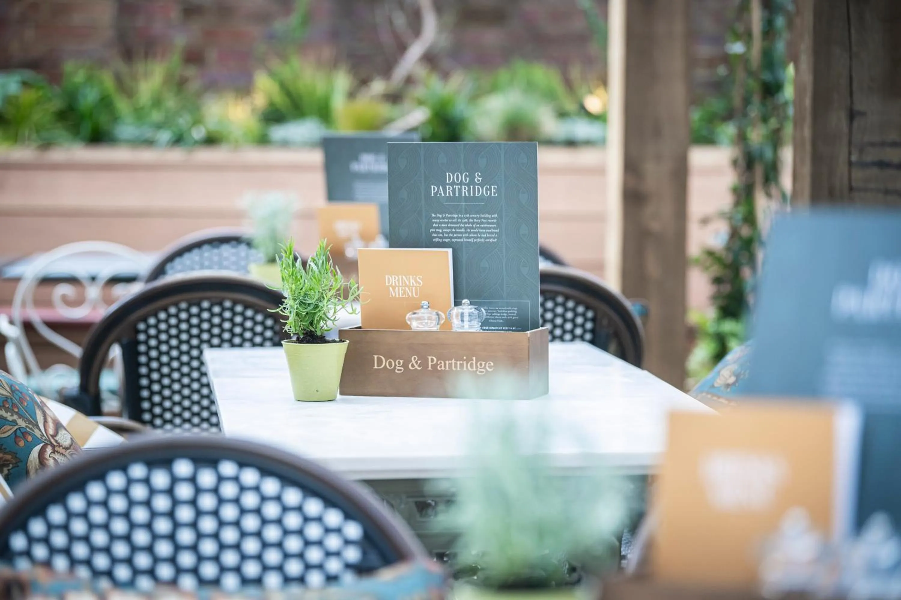 Patio in Dog and Partridge by Greene King Inns