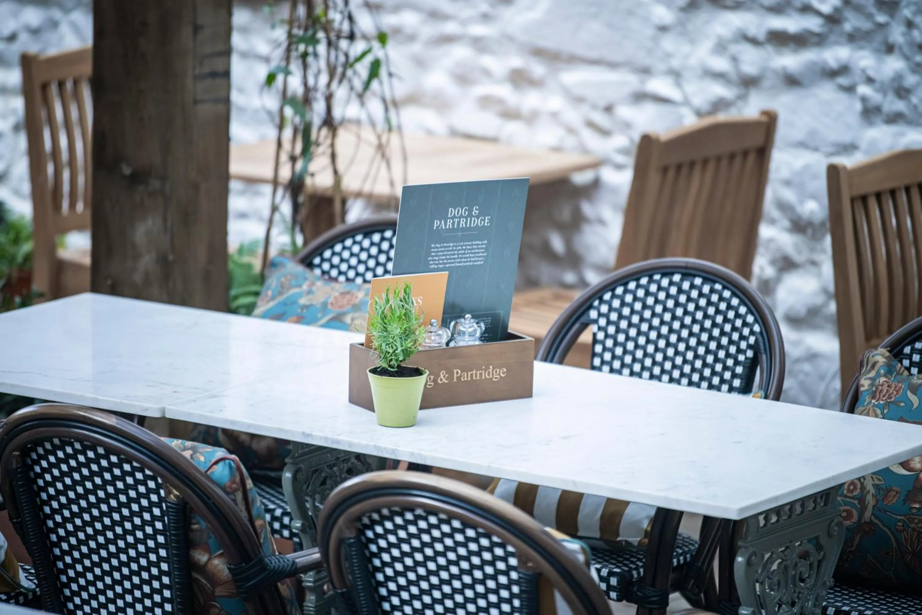 Garden in Dog and Partridge by Greene King Inns