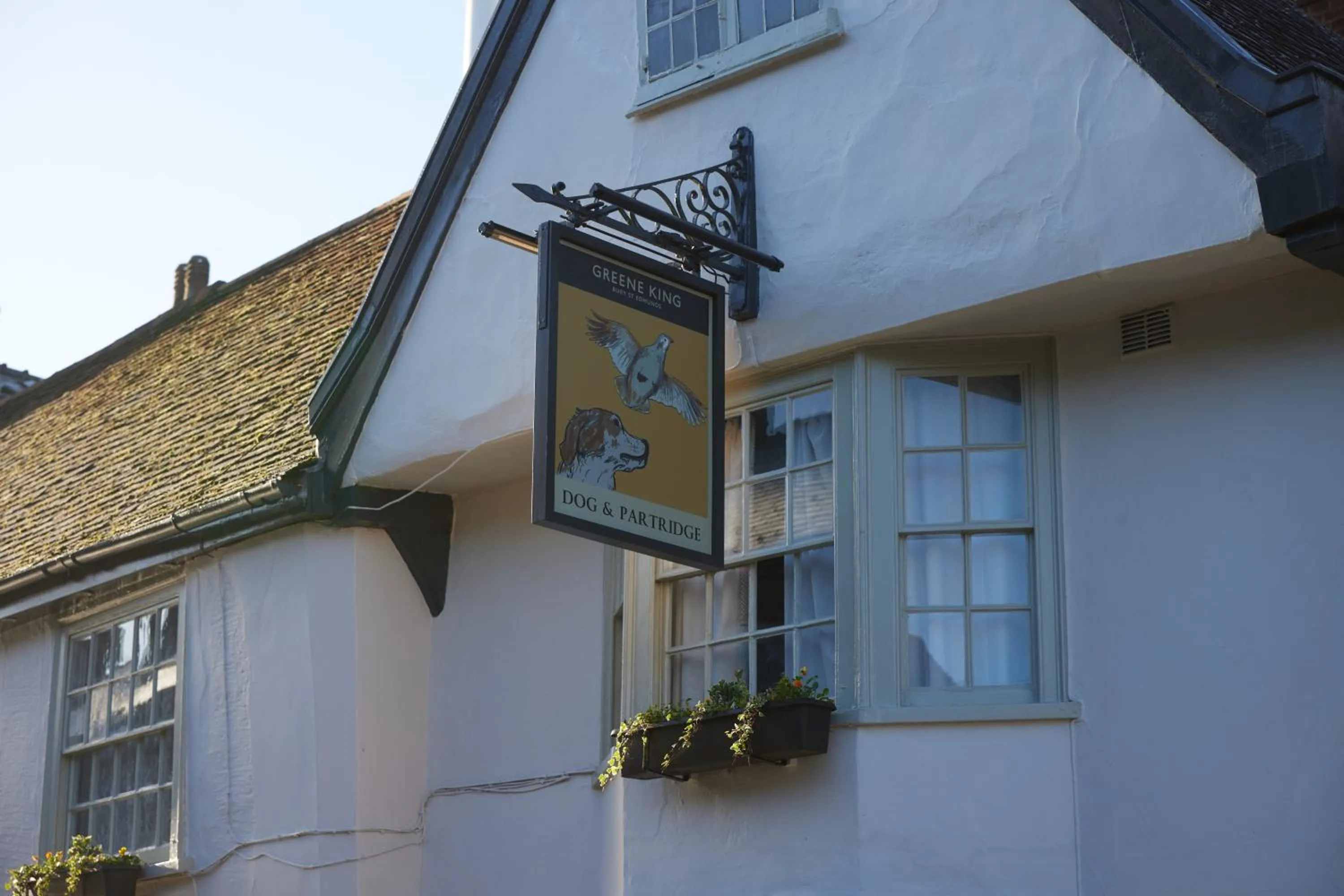 Logo/Certificate/Sign in Dog and Partridge by Greene King Inns