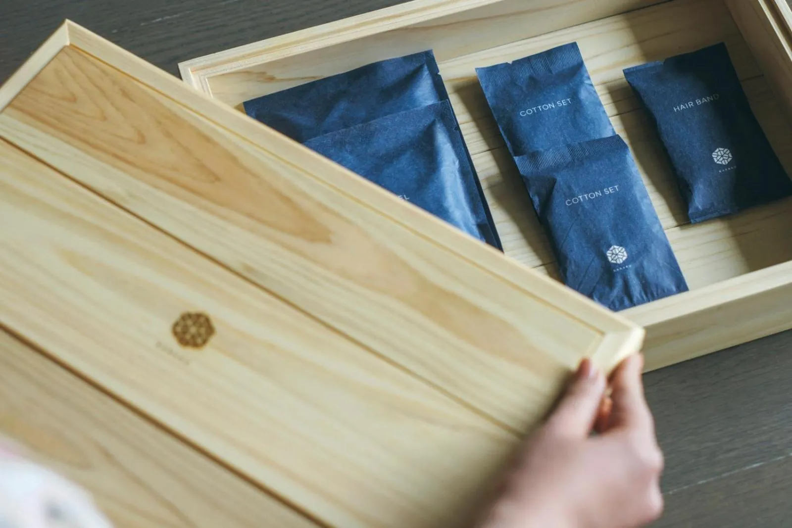 Photo of the whole room in Hakone Gora KARAKU