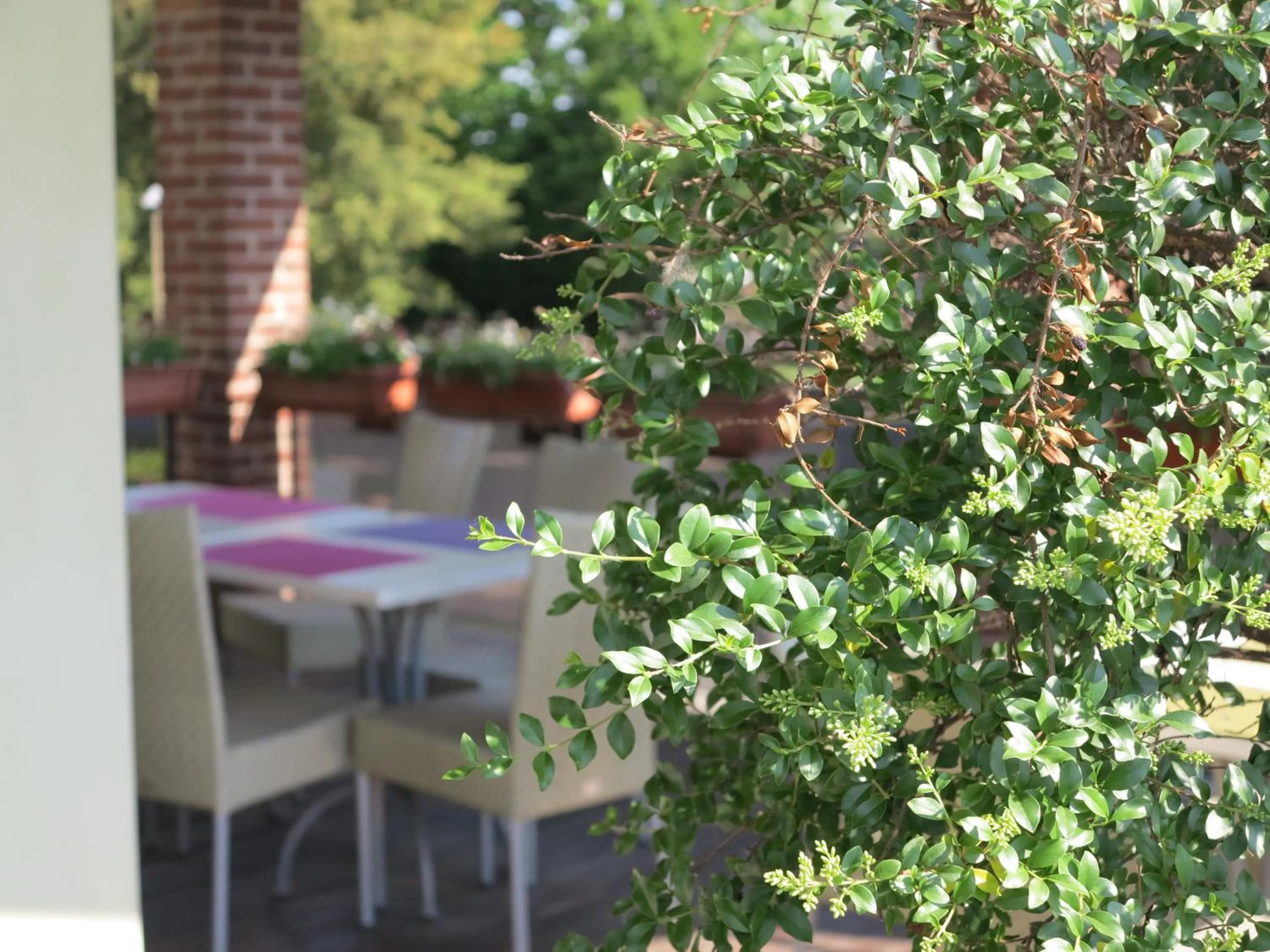 Restaurant/places to eat in Hotel Della Torre 1850