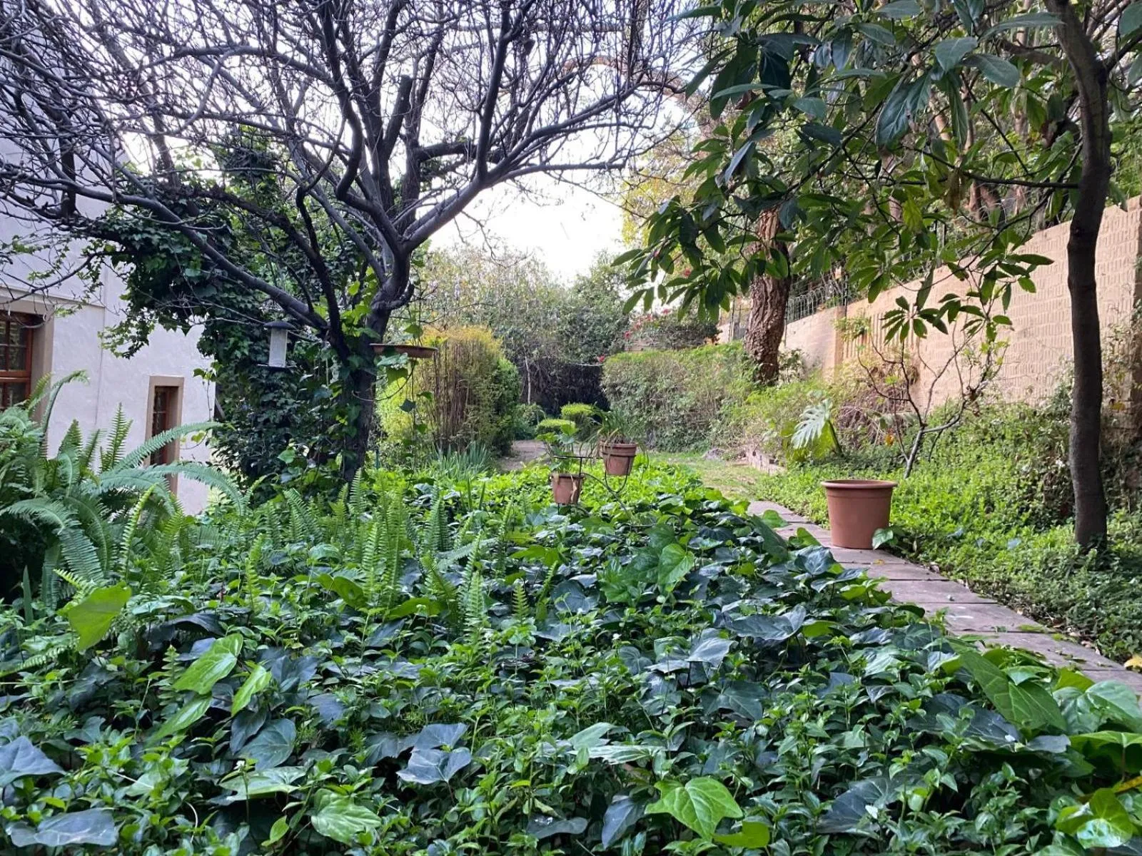 Garden in Tuscan Rose