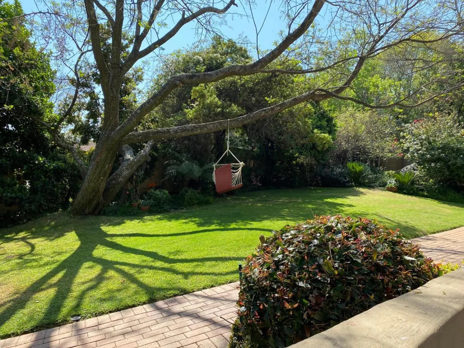 Garden in Tuscan Rose