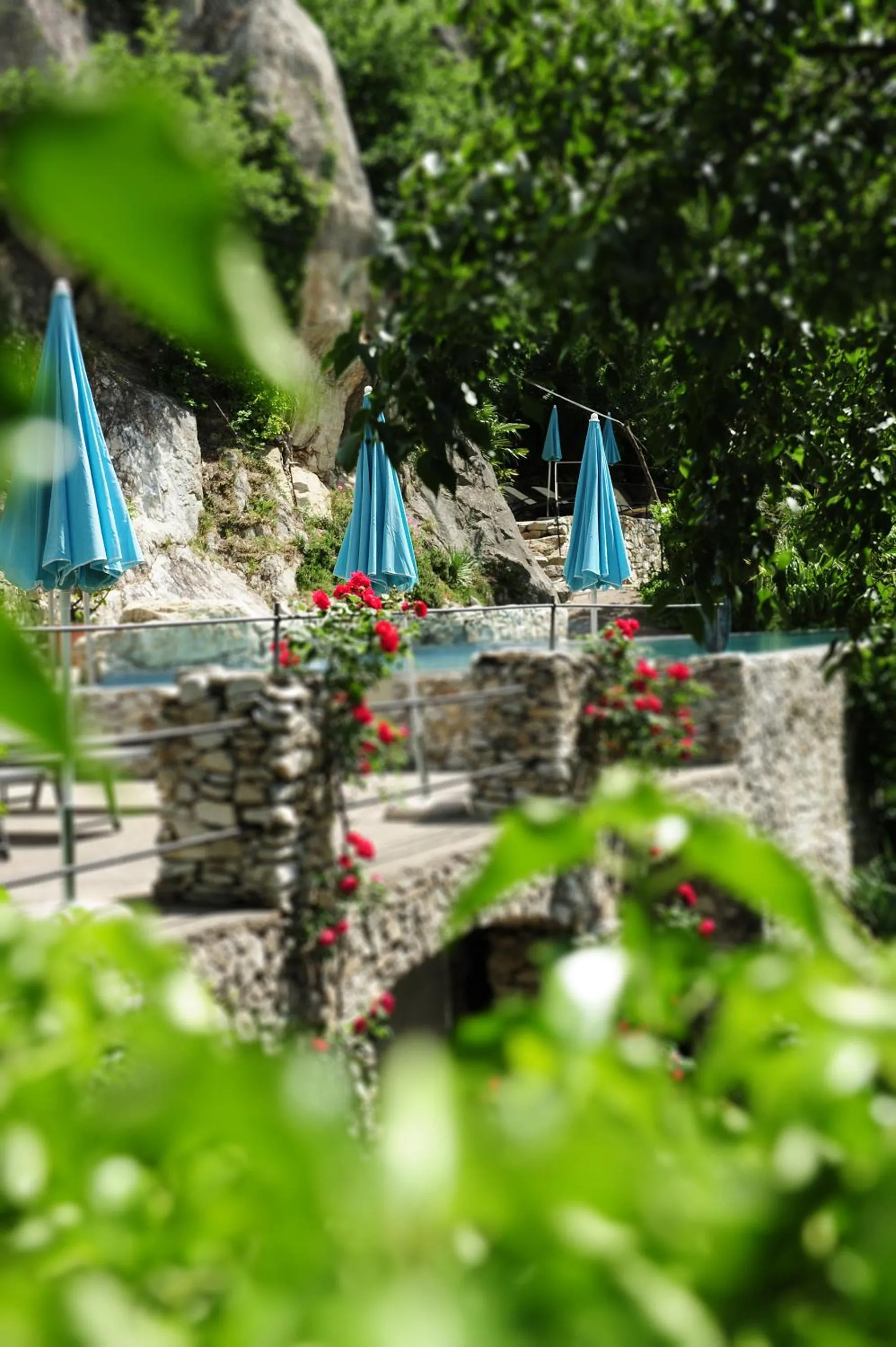 Garden in Villa Sasso