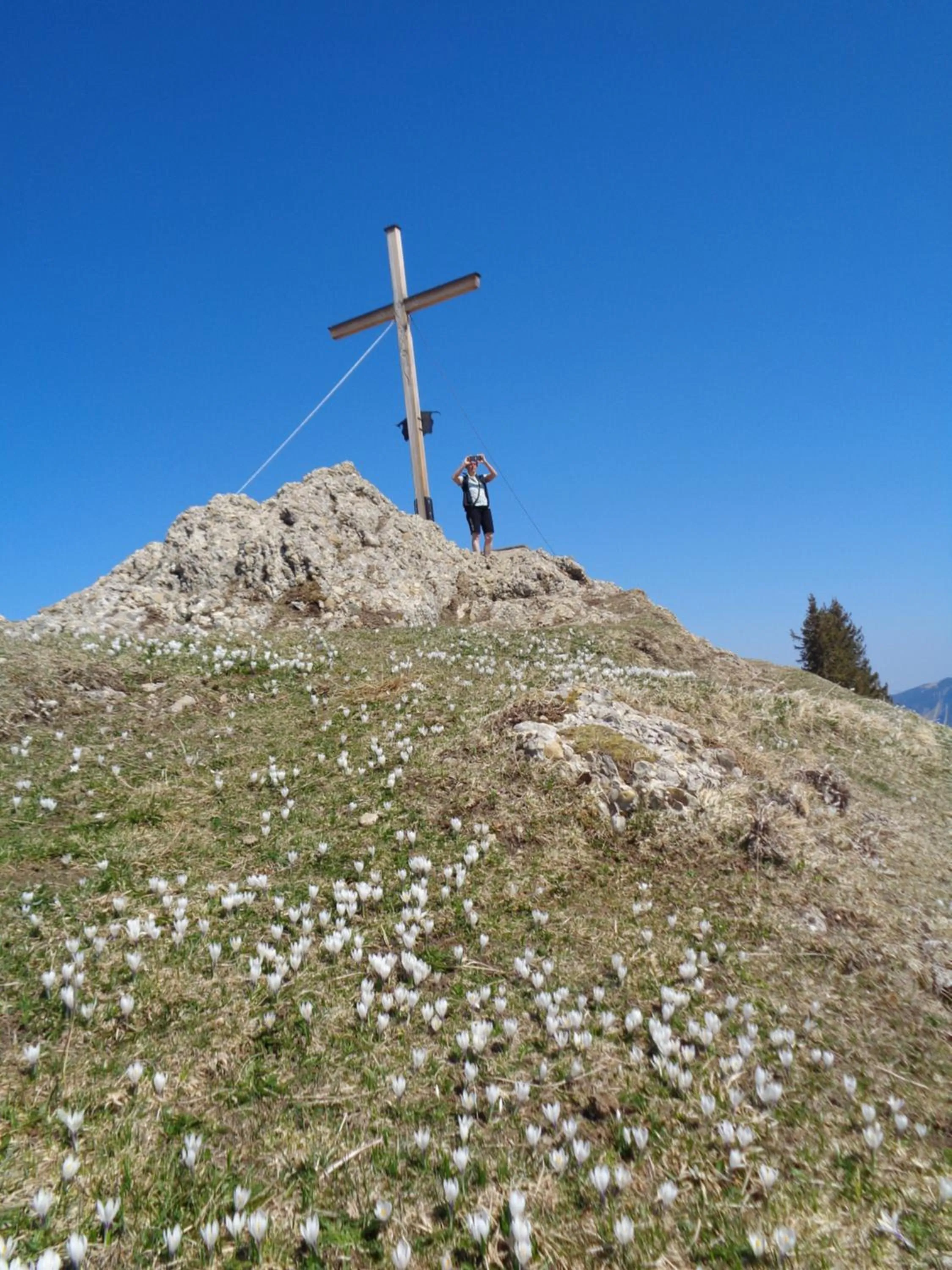 Natural landscape in Berggasthof Sonne Allgäu