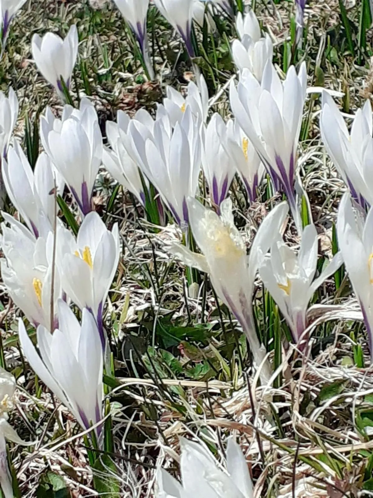Autumn in Berggasthof Sonne Allgäu