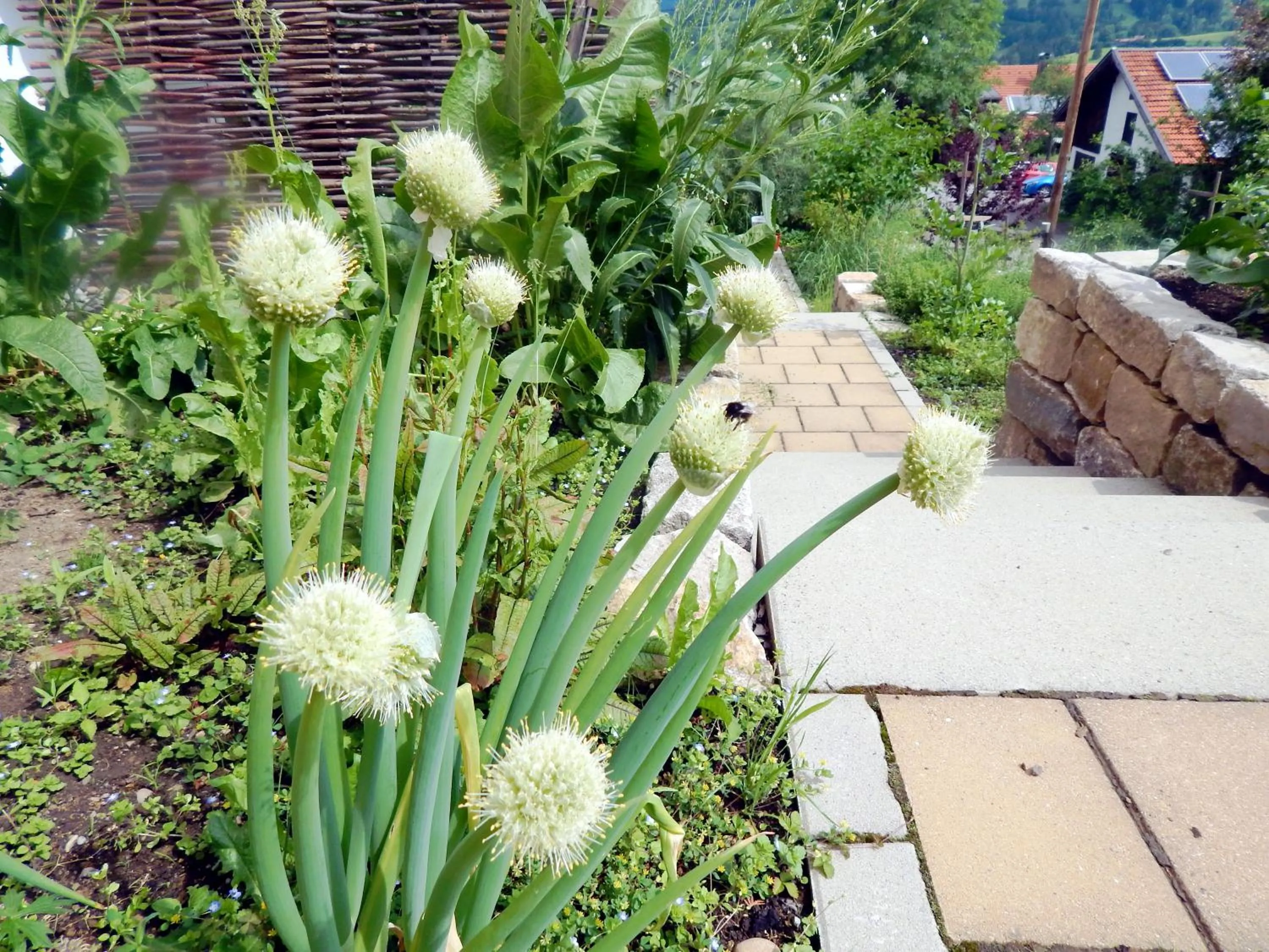 Garden in Berggasthof Sonne Allgäu