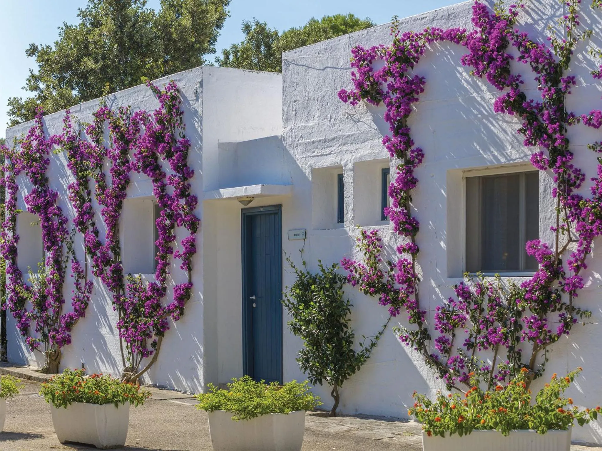Property building in TH Ostuni - Ostuni Village