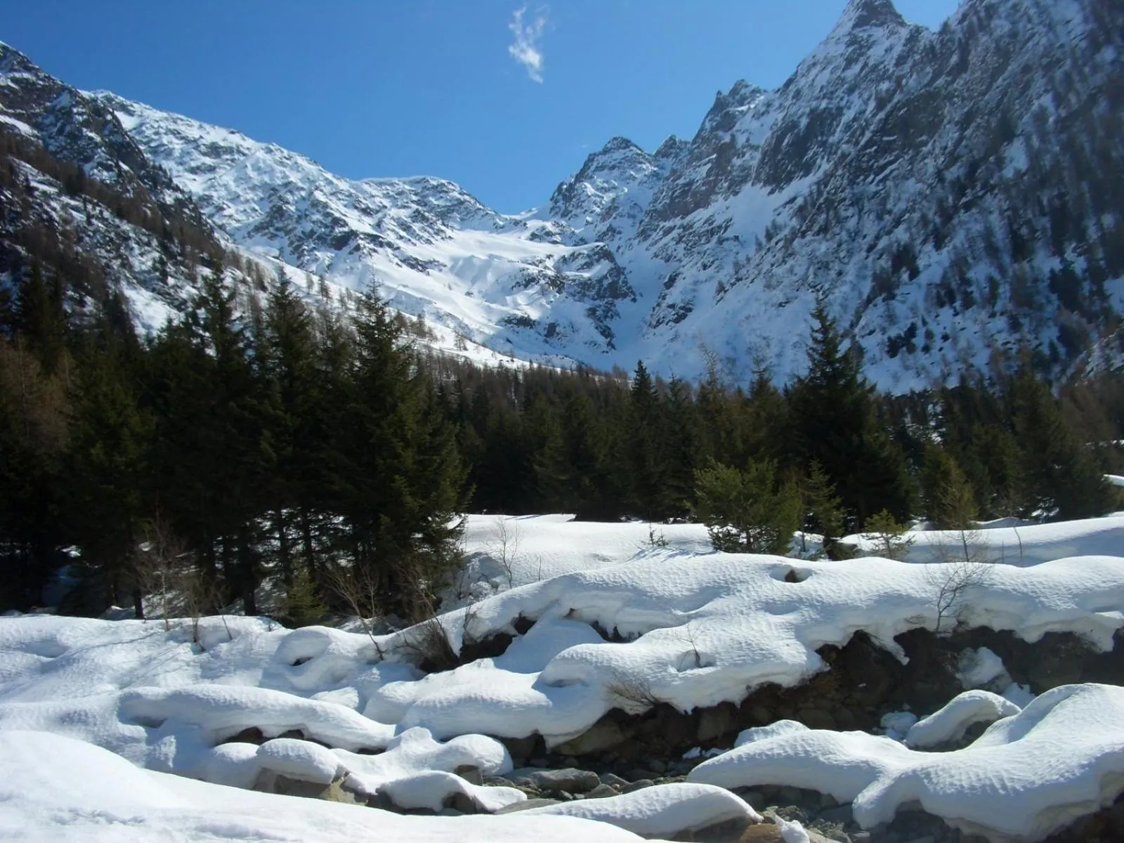 Natural landscape in Hotel Rezia