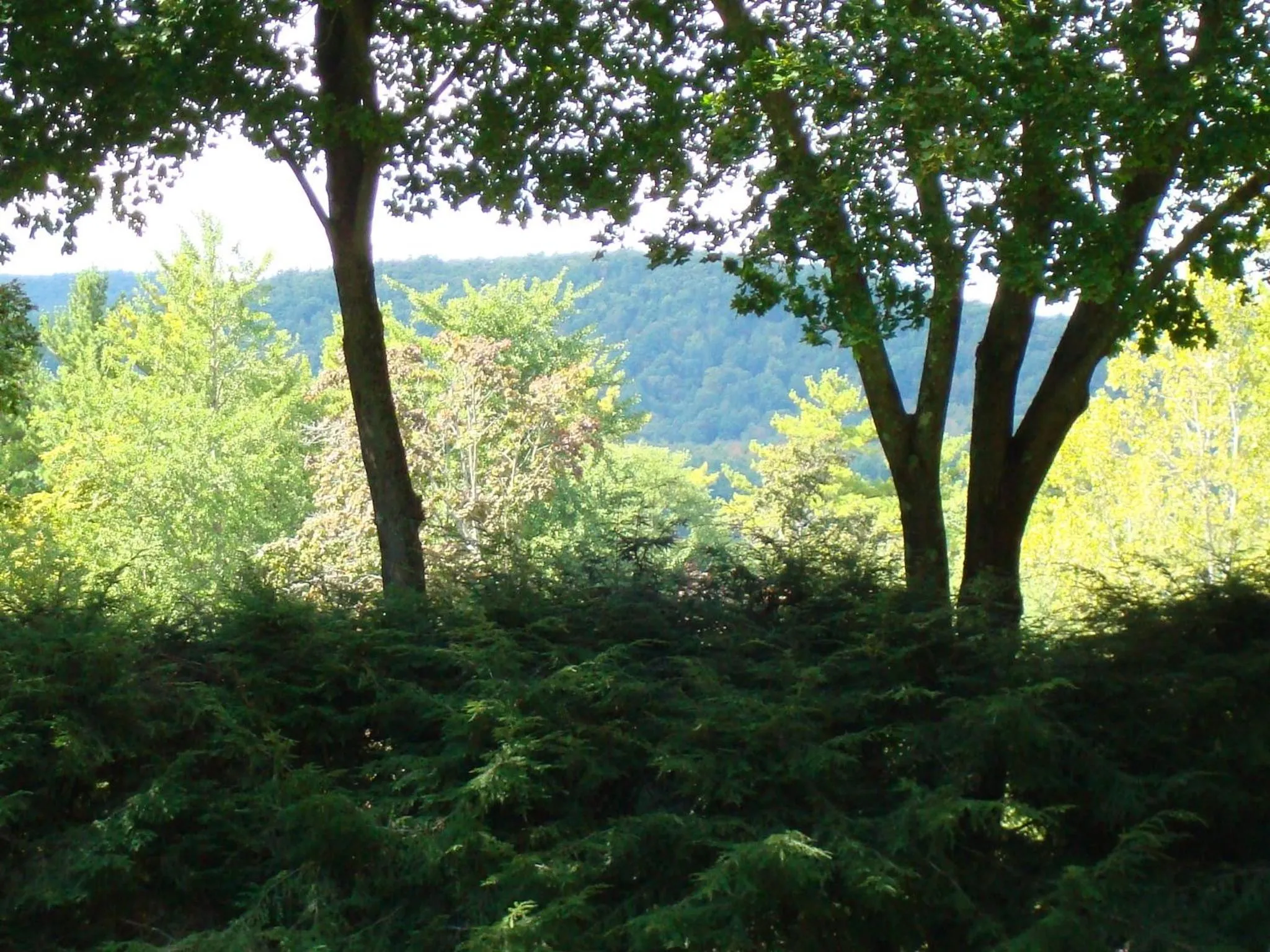 Mountain view in The Cottage