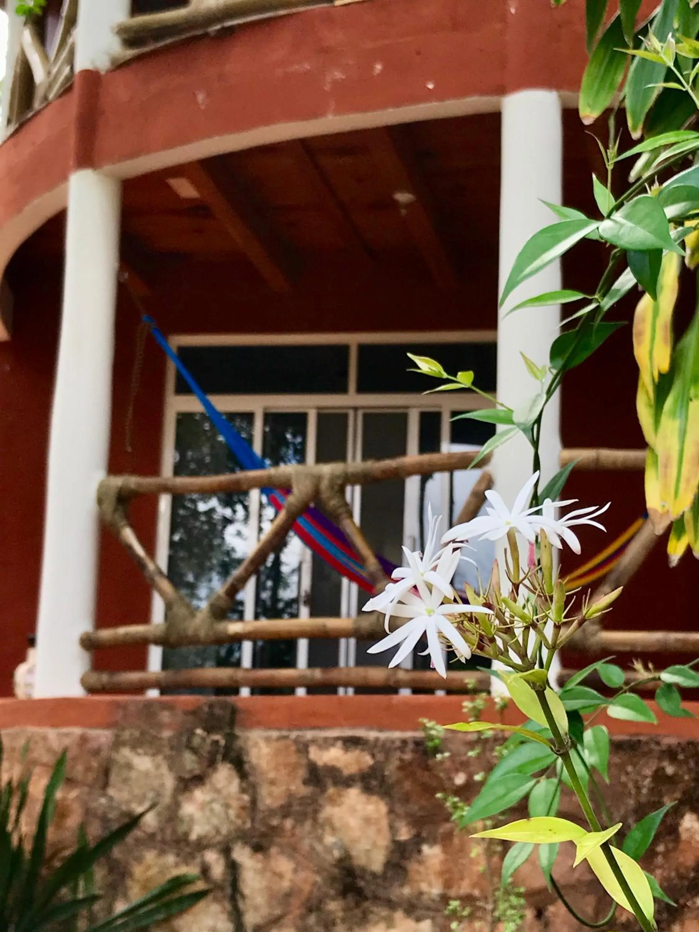 Balcony/Terrace in Eco-Hotel Nueva Altia