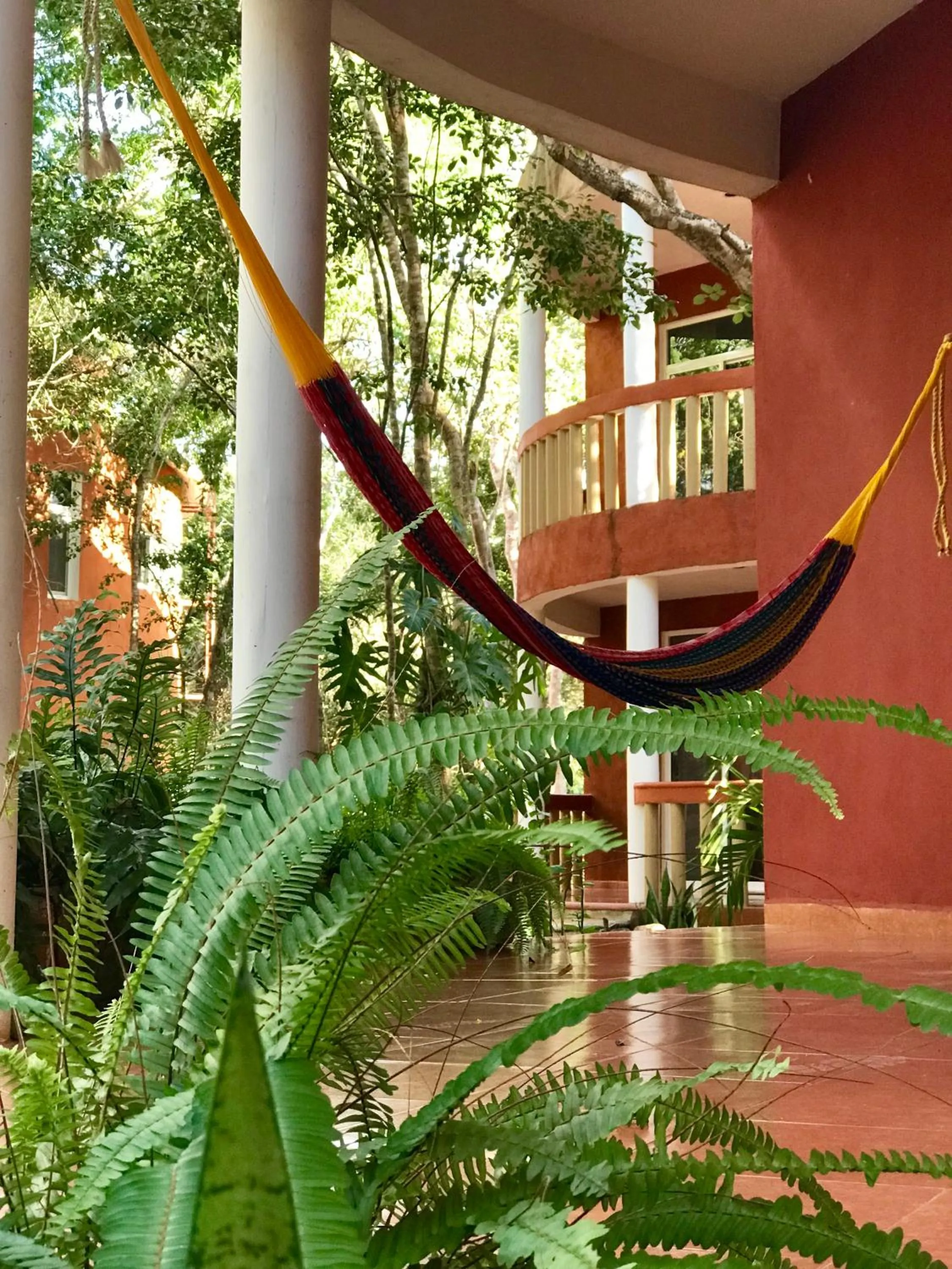 Balcony/Terrace in Eco-Hotel Nueva Altia