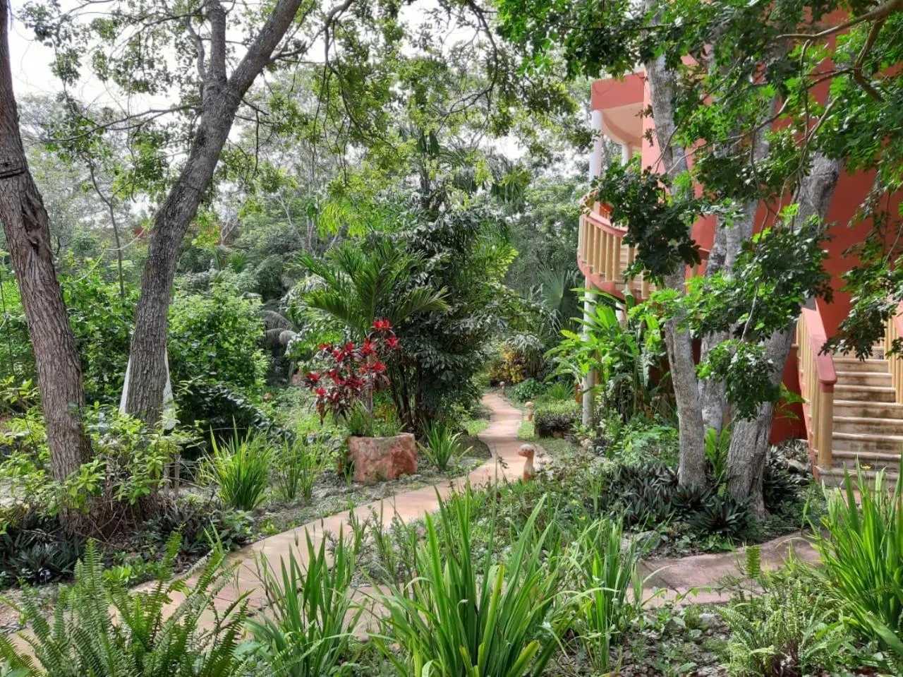 Garden view in Eco-Hotel Nueva Altia