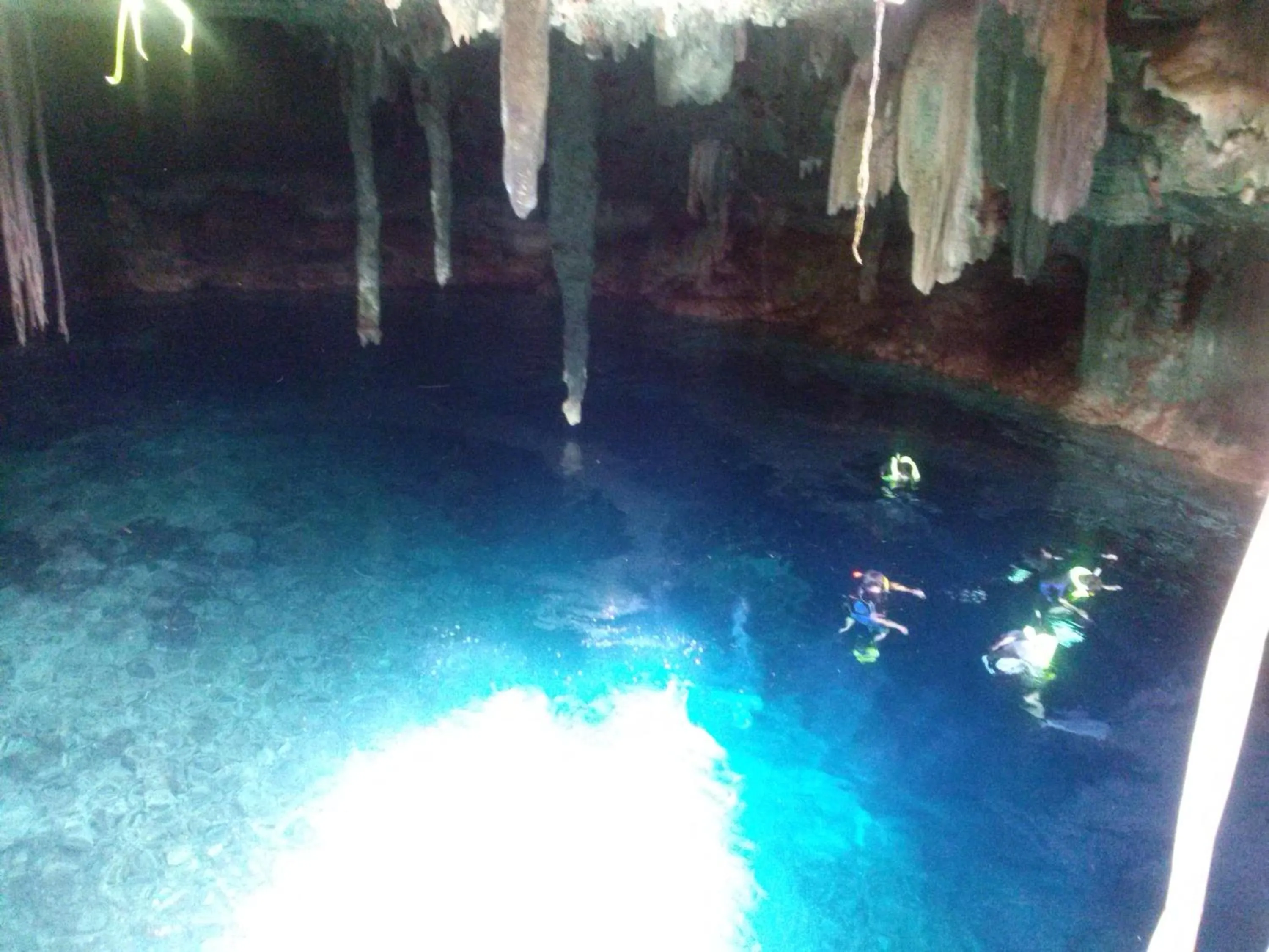 Diving in Eco-Hotel Nueva Altia