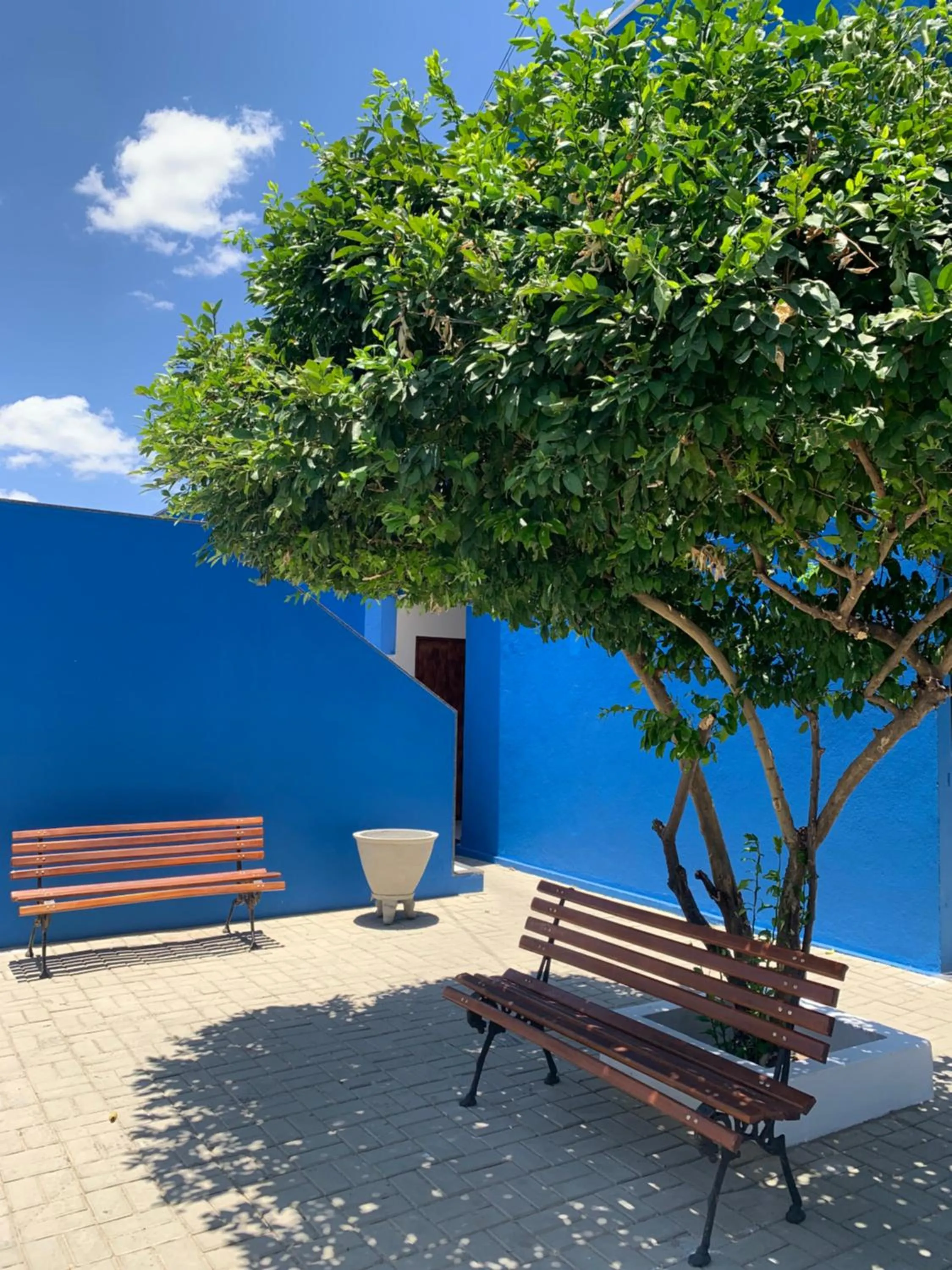 Garden in Pousada Vovó Haidê