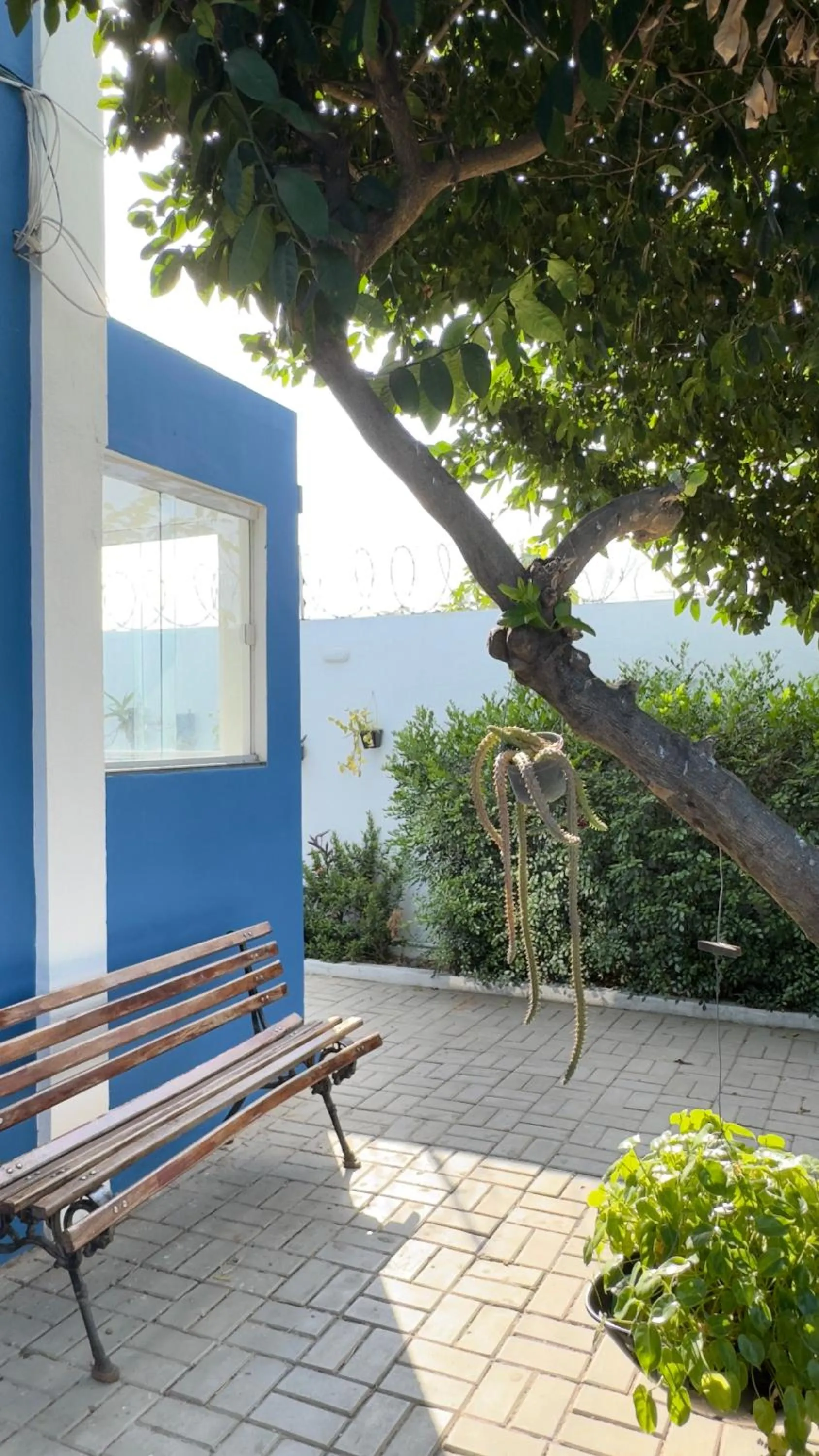 Day in Pousada Vovó Haidê