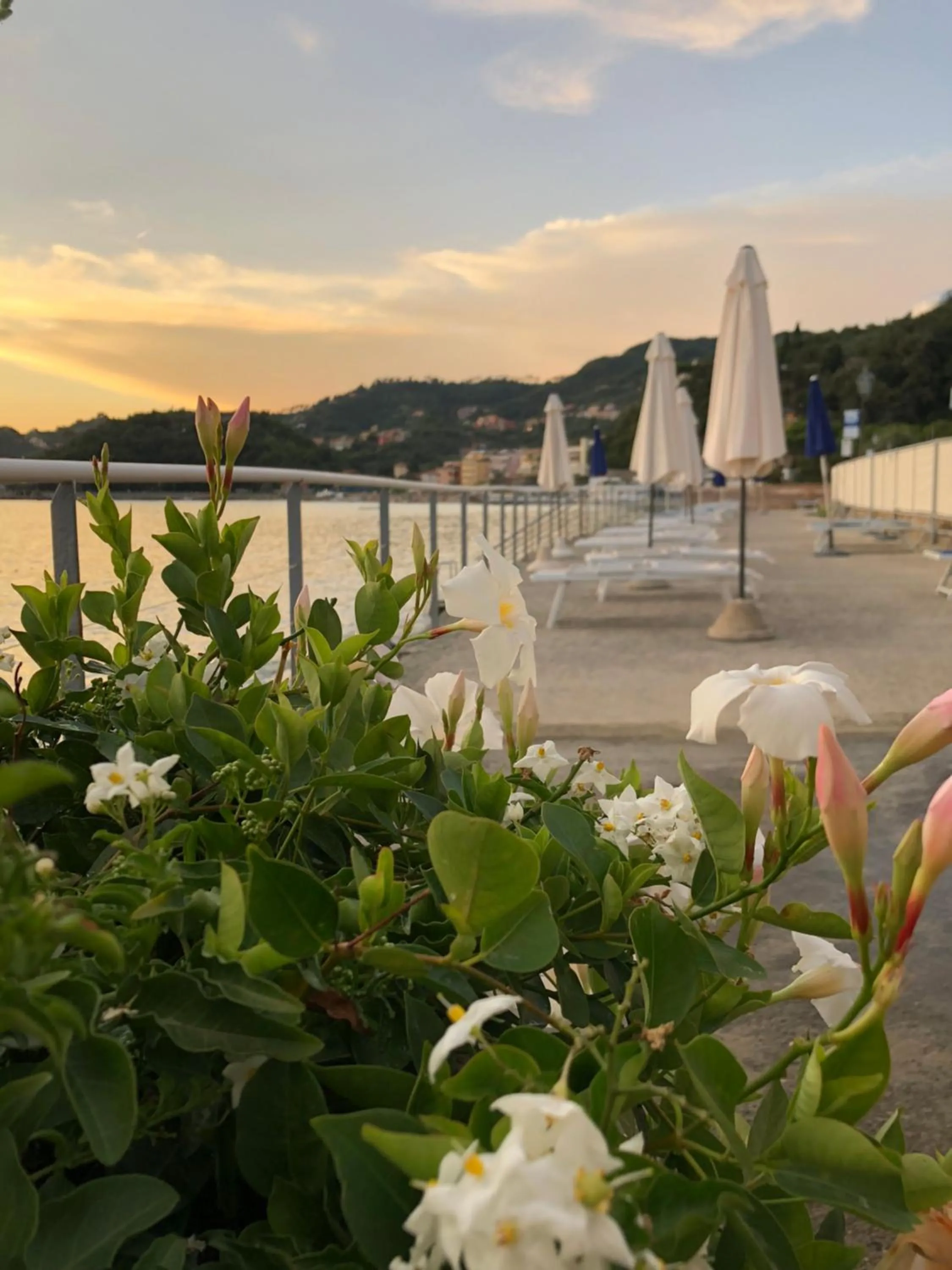 Balcony/Terrace in Hotel Shelley e delle Palme, BW Signature Collection