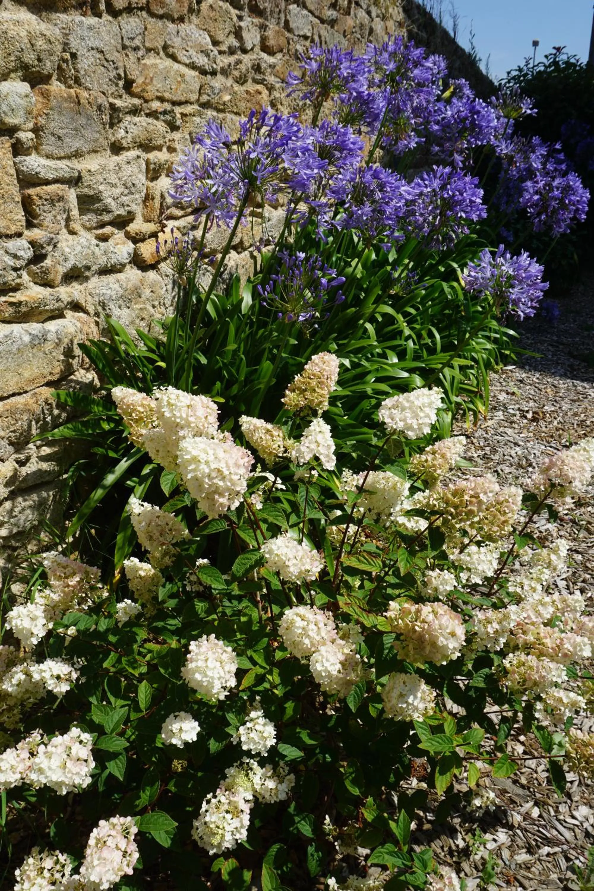 Summer in Auberge Ti'gousket