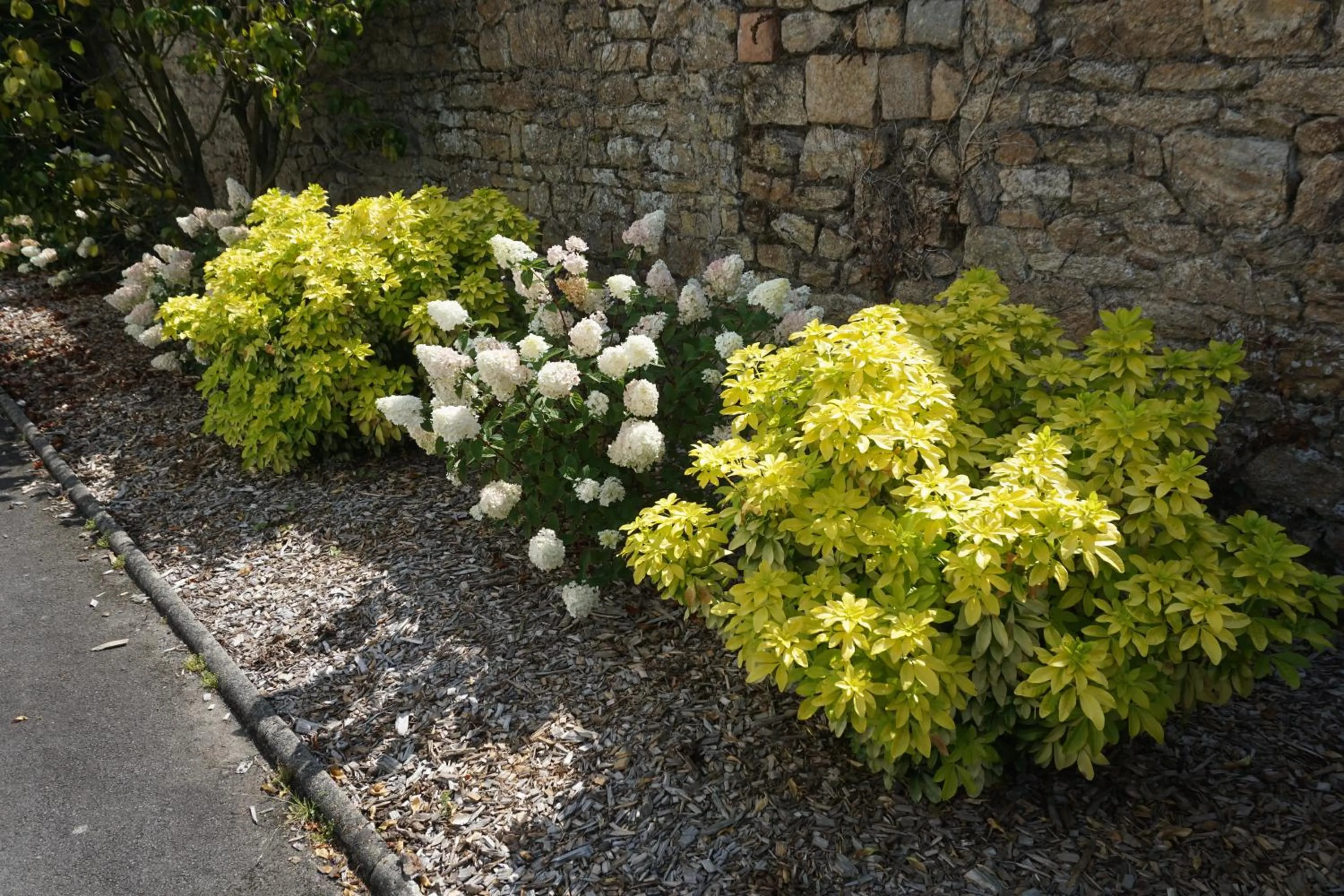 Summer in Auberge Ti'gousket