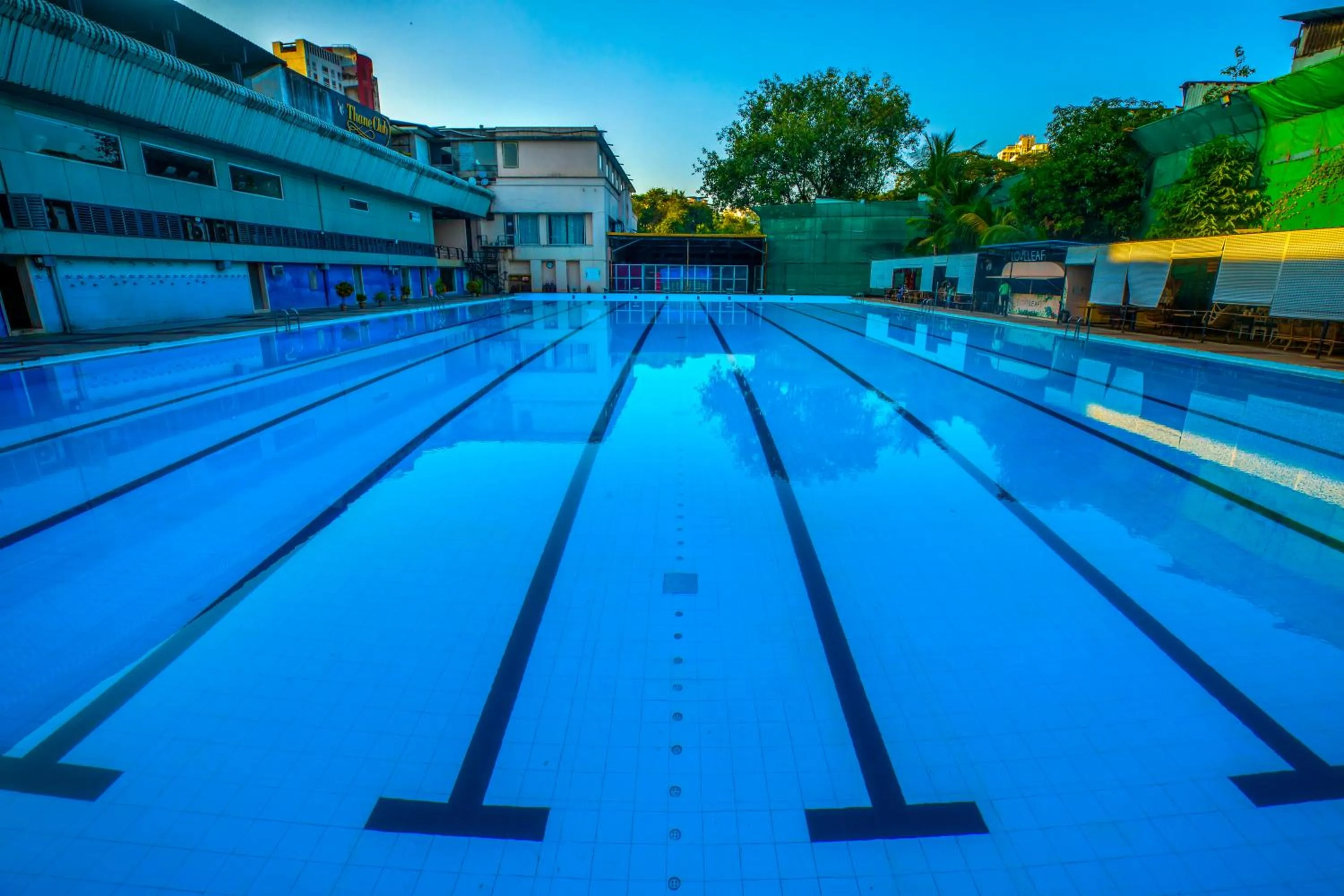 Swimming pool in The Thane Club