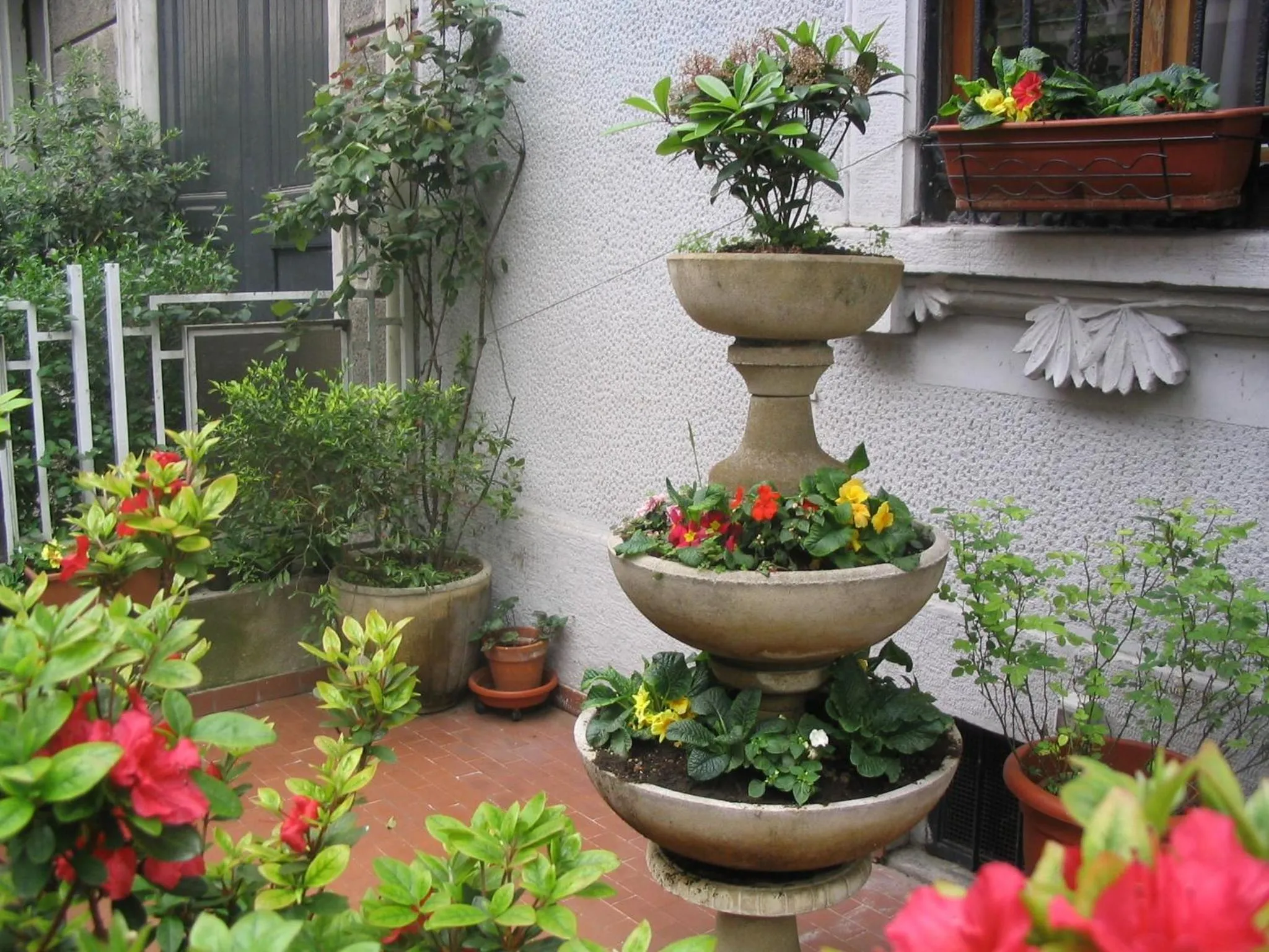 Day in Hotel Mayorca