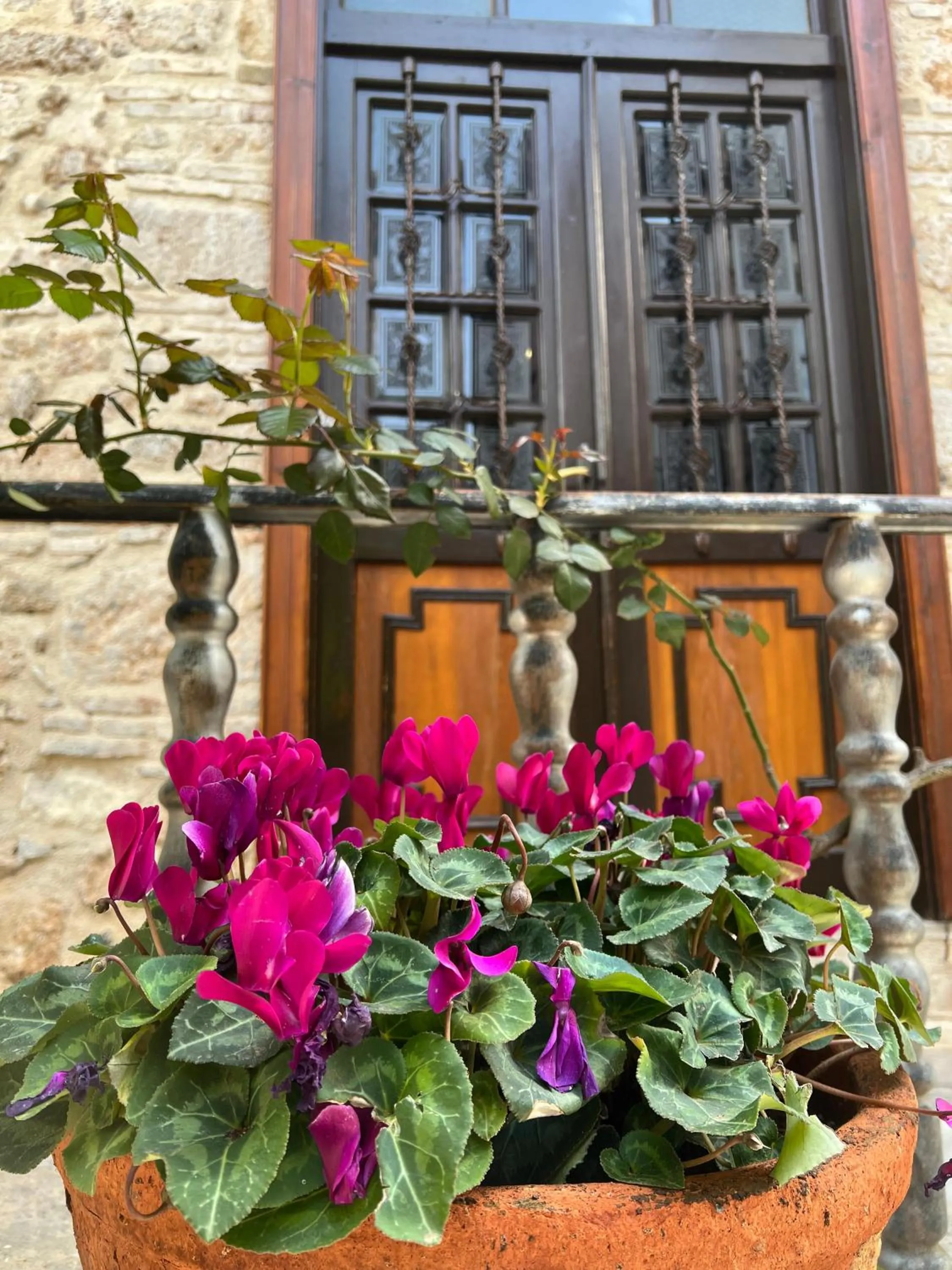 Property building in White Garden Hotel-Adult Only