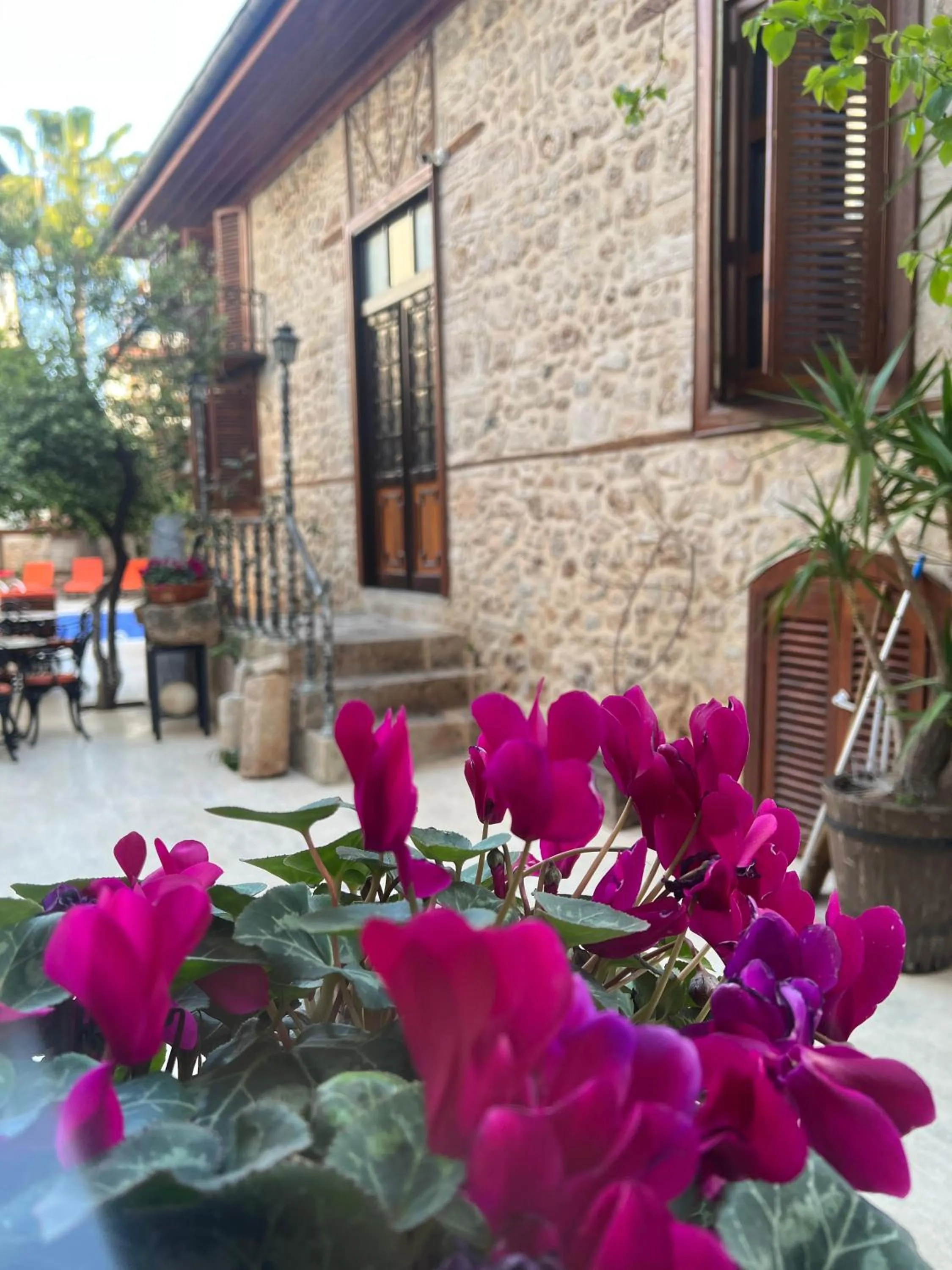 Garden in White Garden Hotel-Adult Only