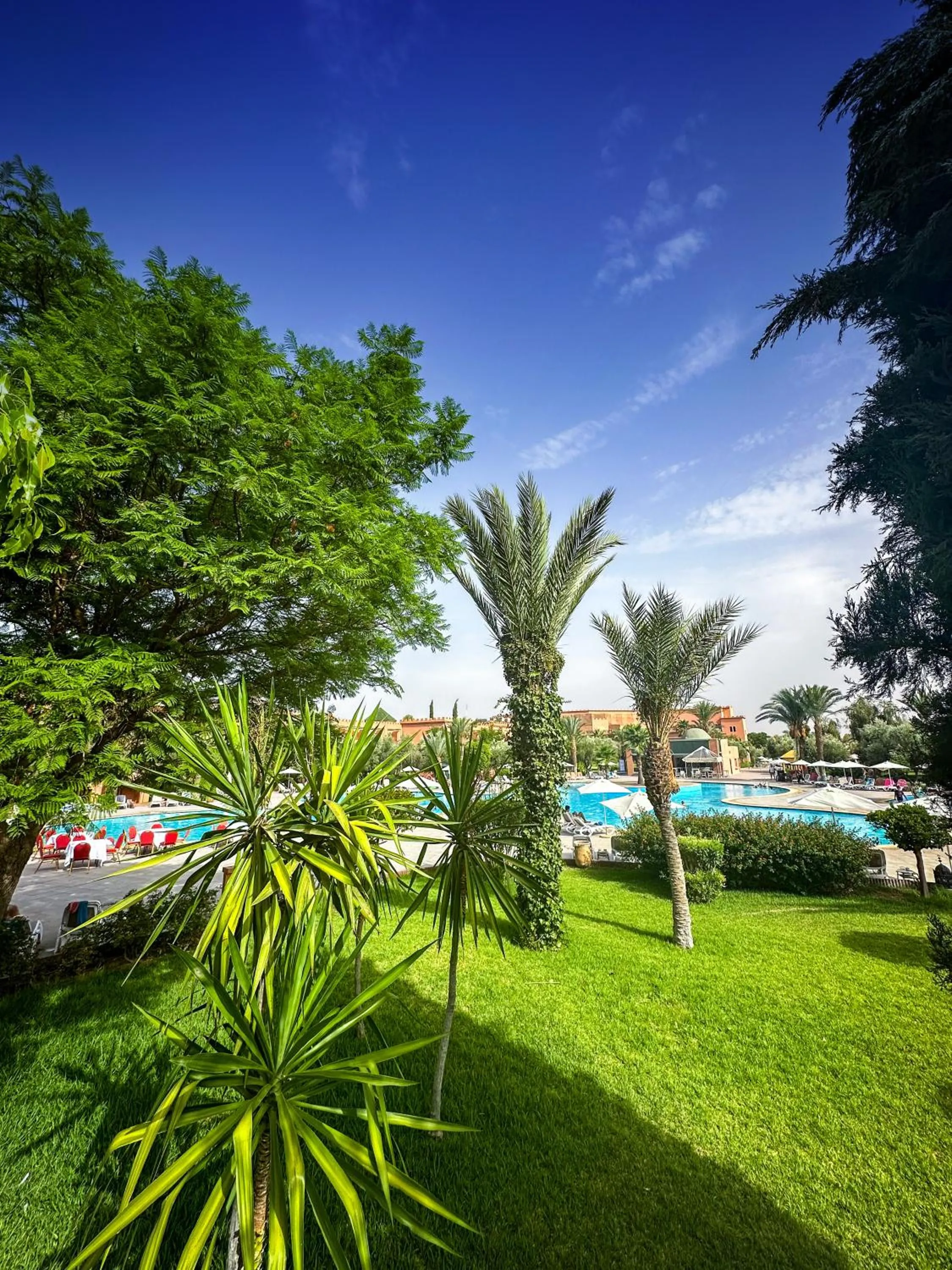 Garden in Grand Mogador Agdal & Spa