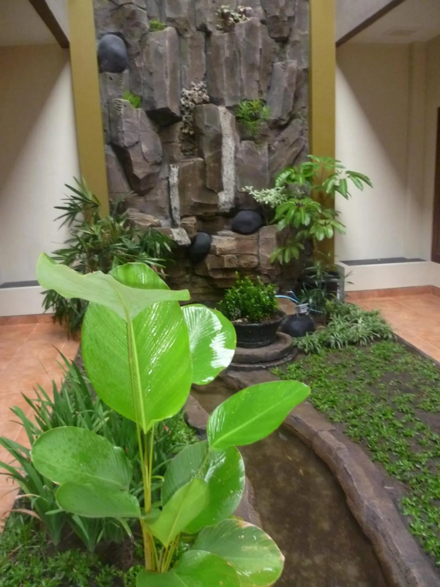 Garden in Aloha Hotel Yogyakarta