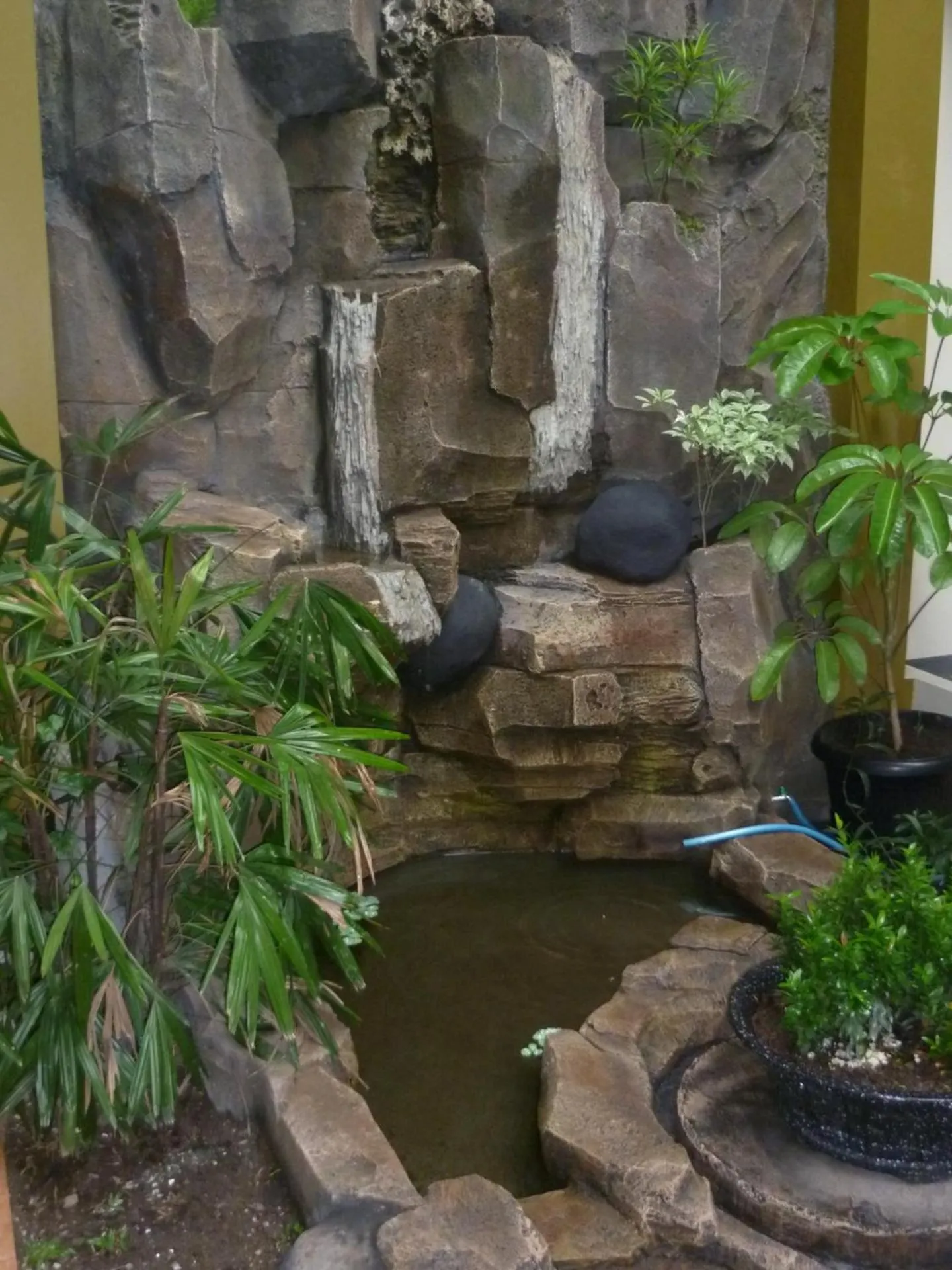 Natural landscape in Aloha Hotel Yogyakarta