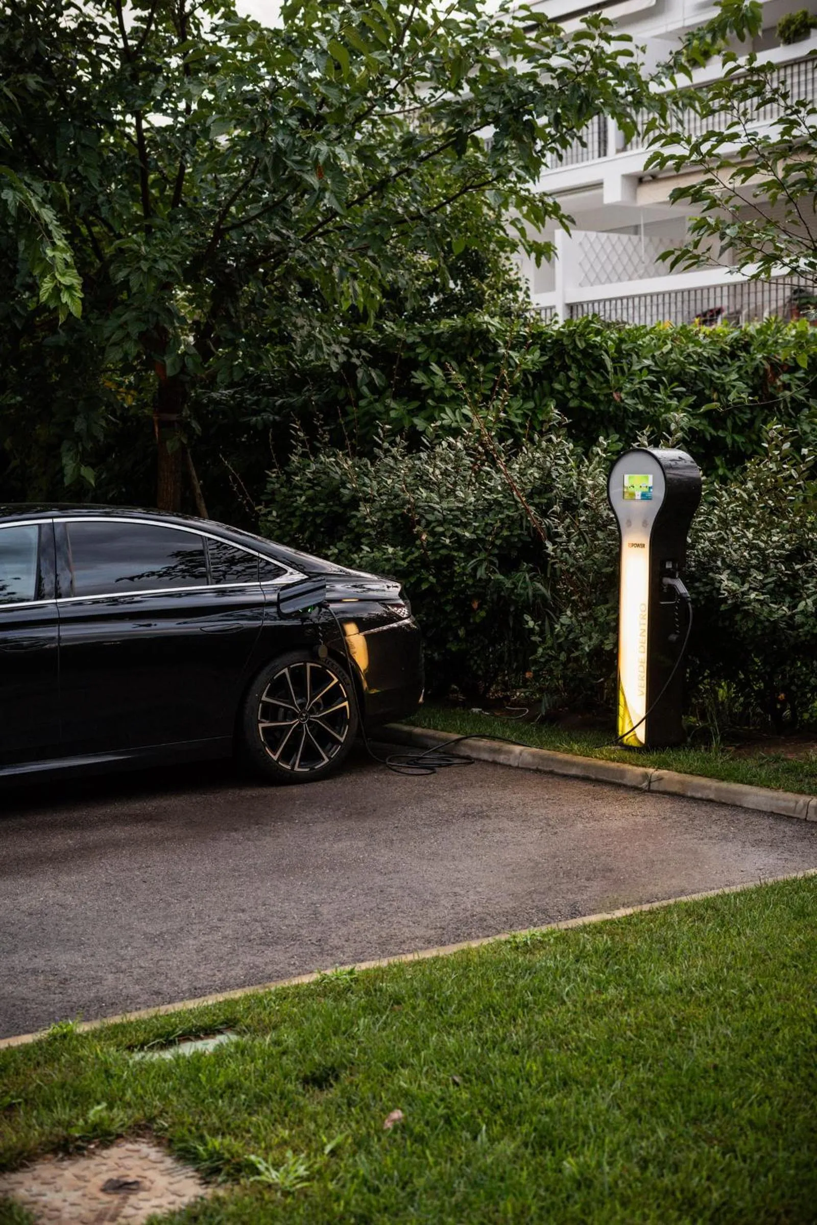 VIP in Bellevue Hotel & Resort