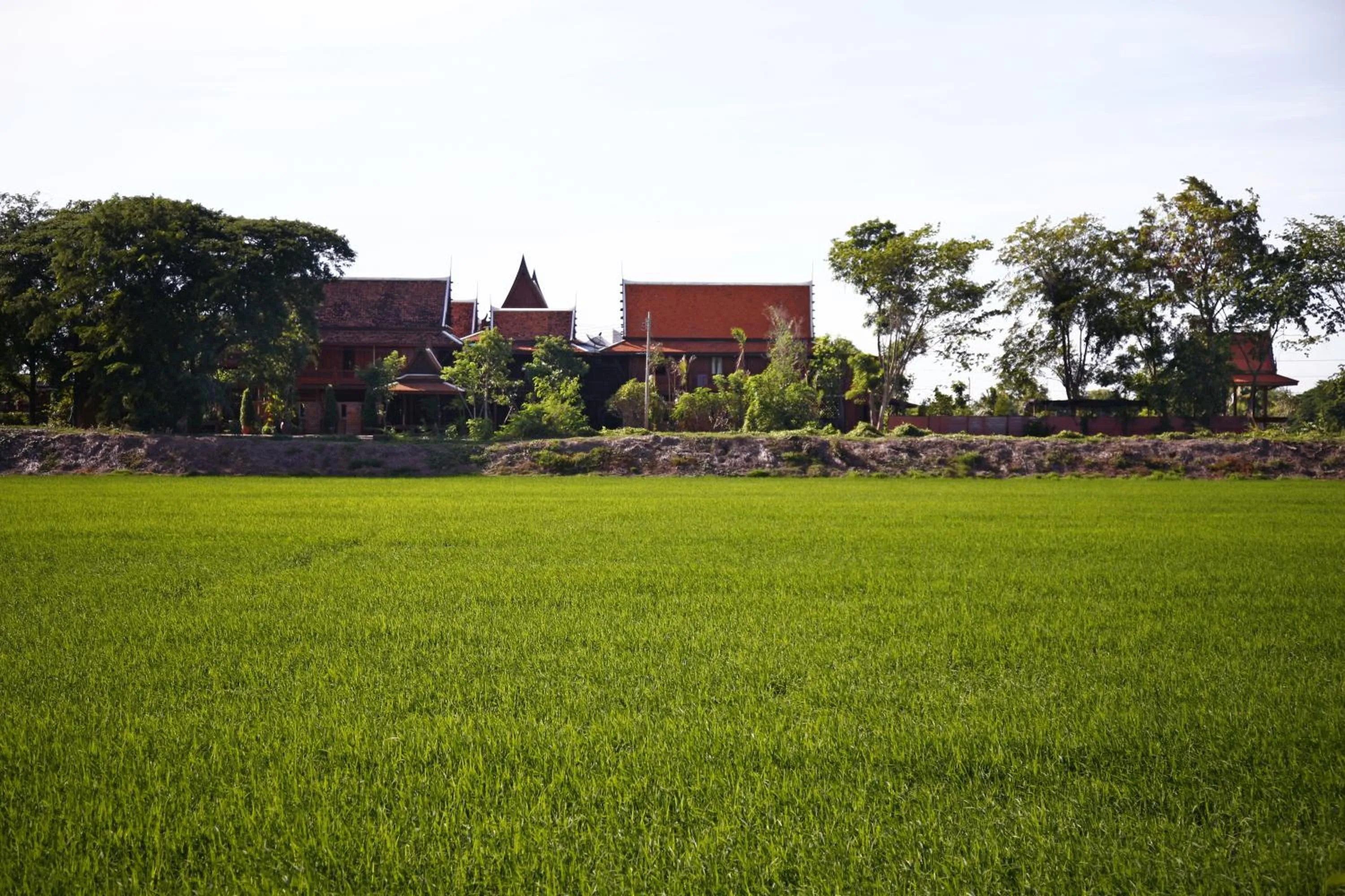 View (from property/room) in Ayutthaya retreat
