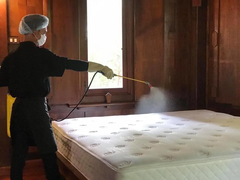 Activities, Bed in Ayutthaya retreat