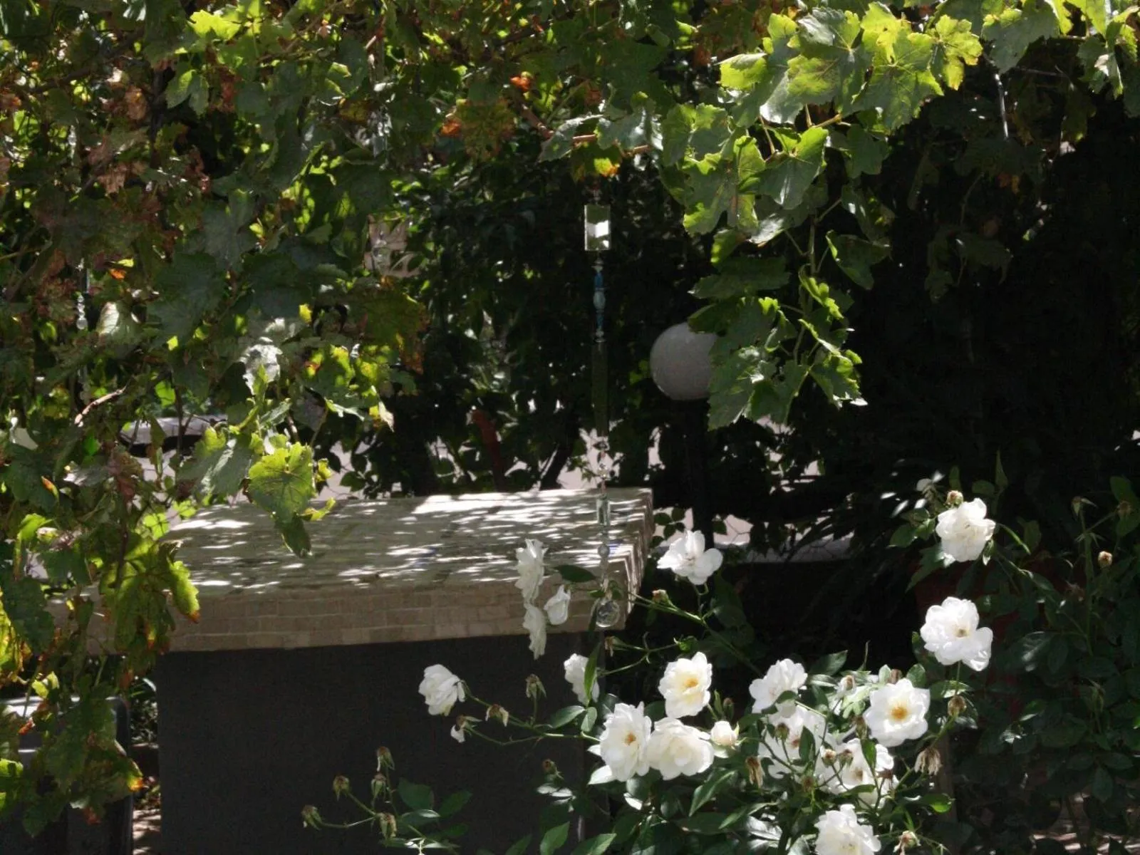 Property building in Anker Guesthouse