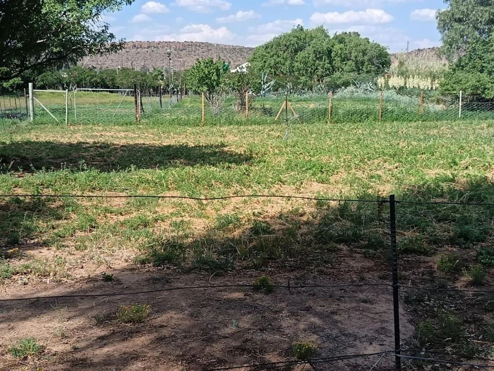 Garden in Anker Guesthouse