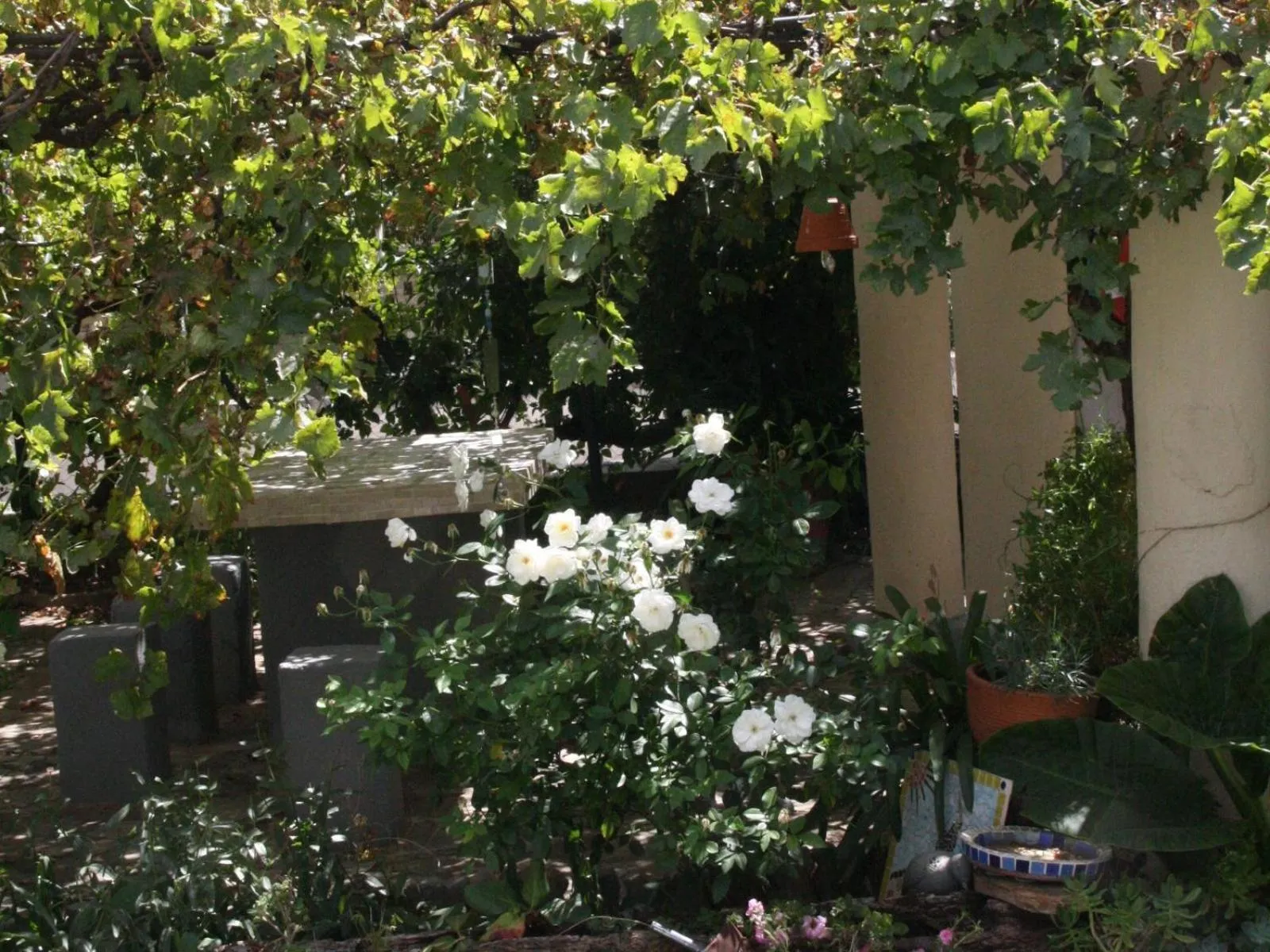 Dining area in Anker Guesthouse