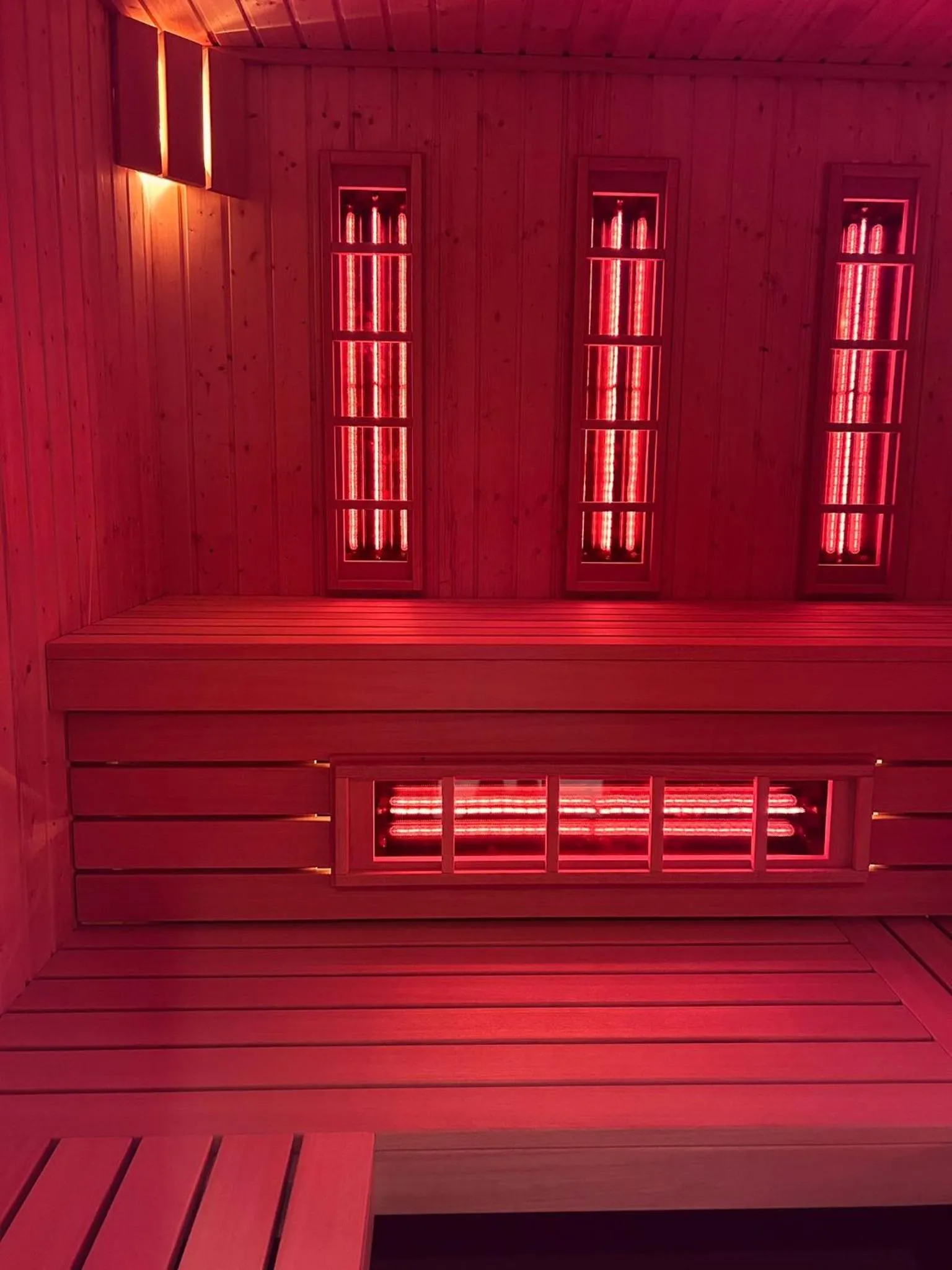 Sauna in Antares Hotel