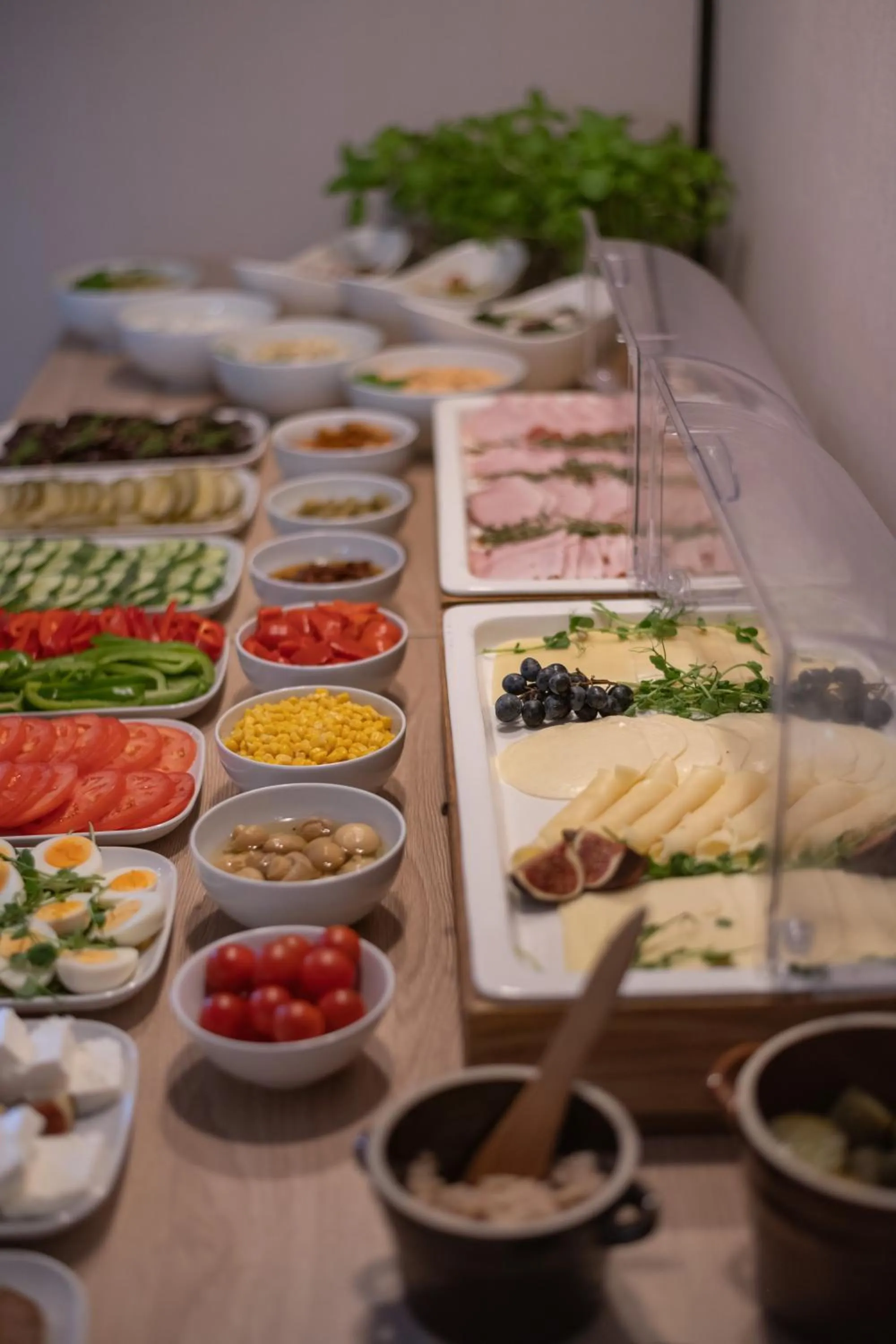 Food and drinks in Antares Hotel