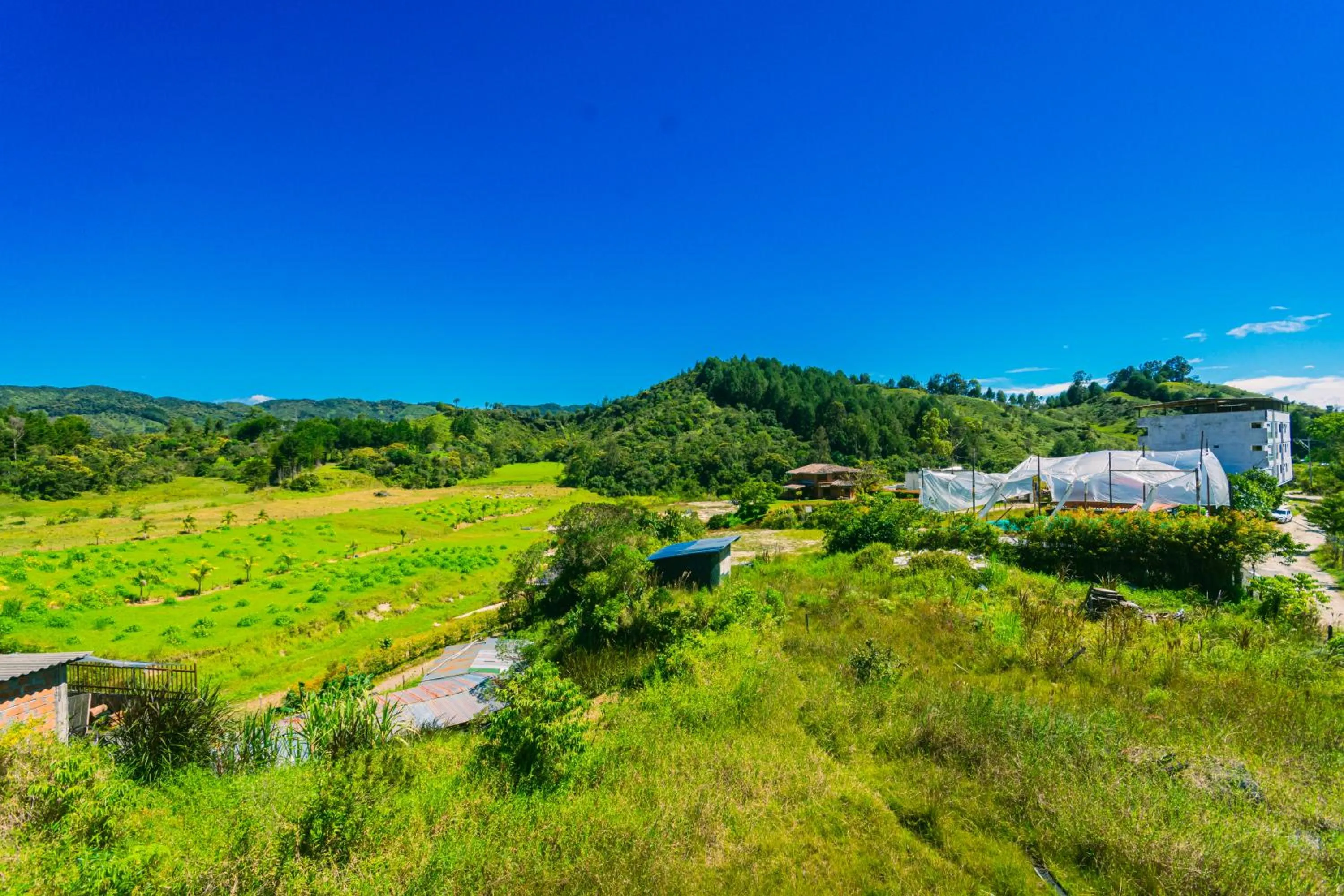 Garden view in Hotel Bambu Guatape