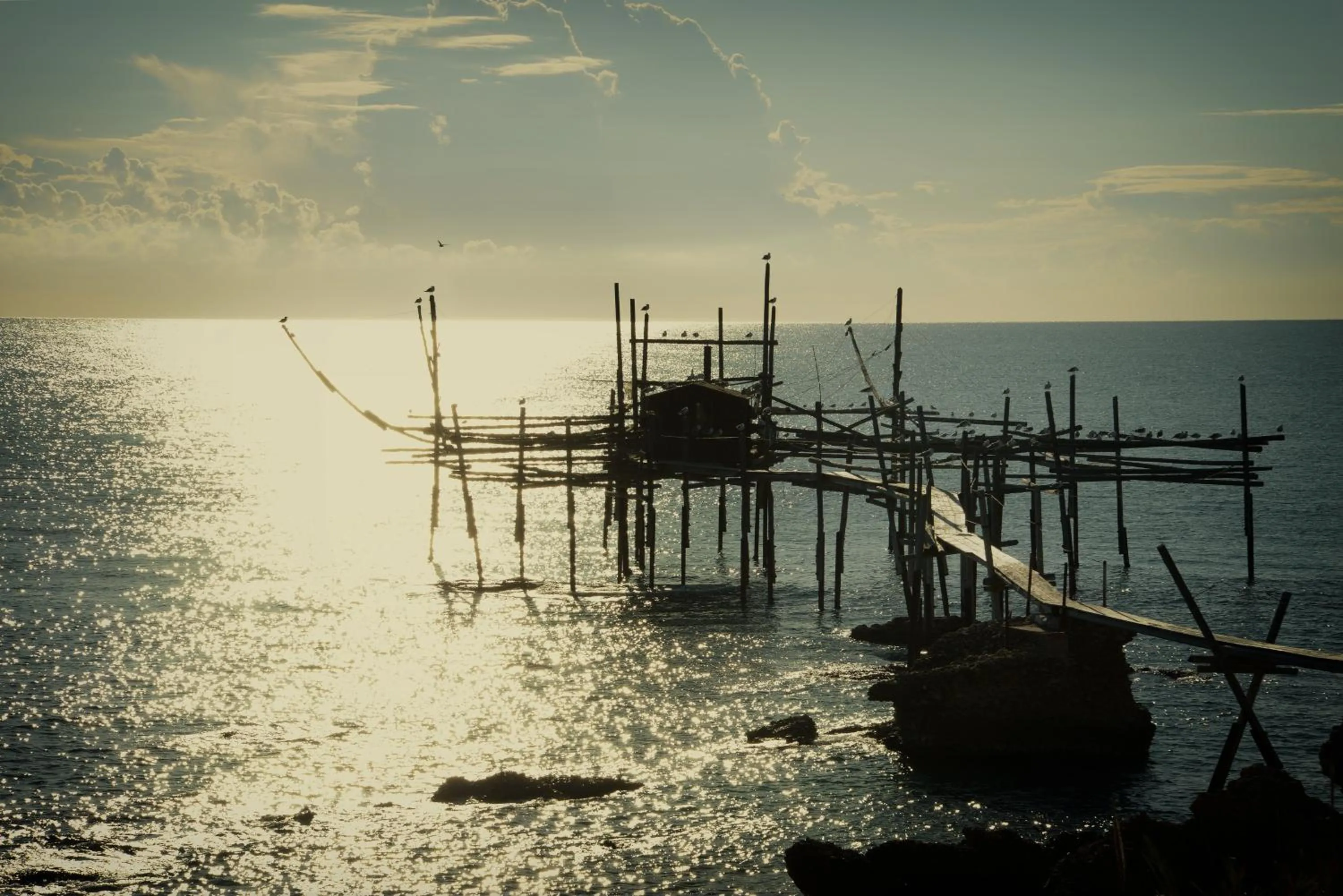 Natural landscape in Baia Delphis Resort