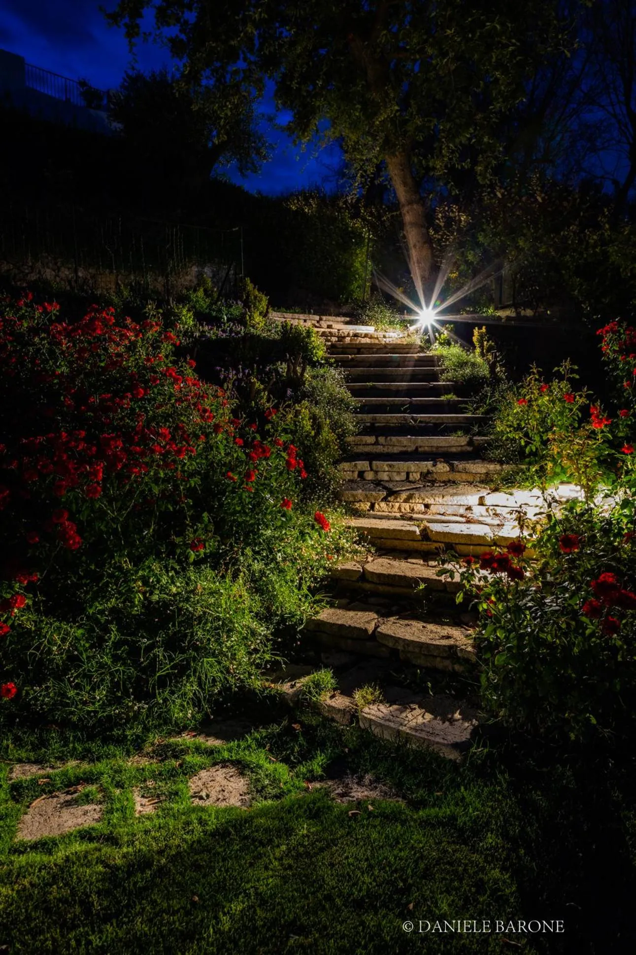Natural landscape in Baia Delphis Resort