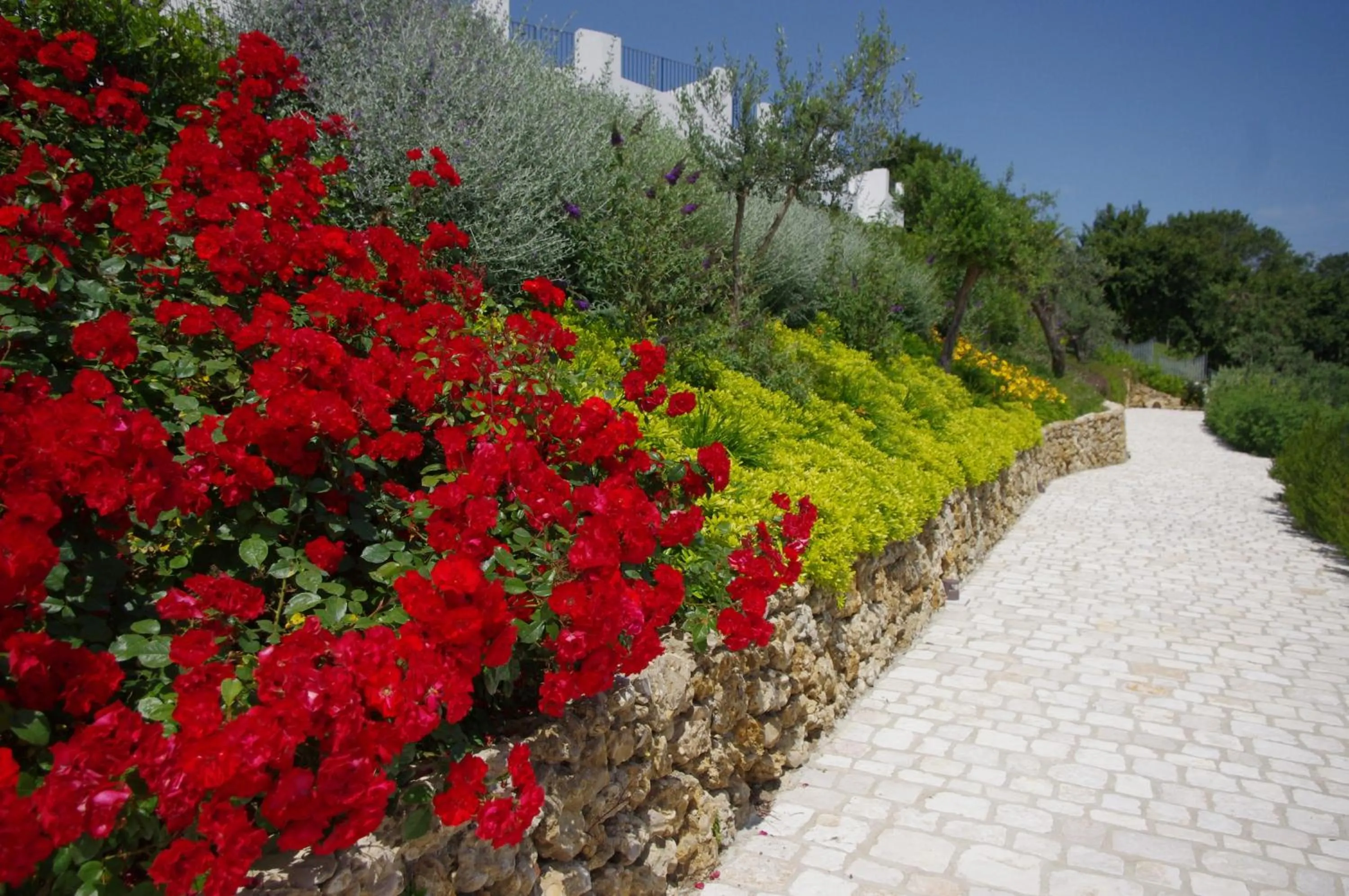 Day in Baia Delphis Resort