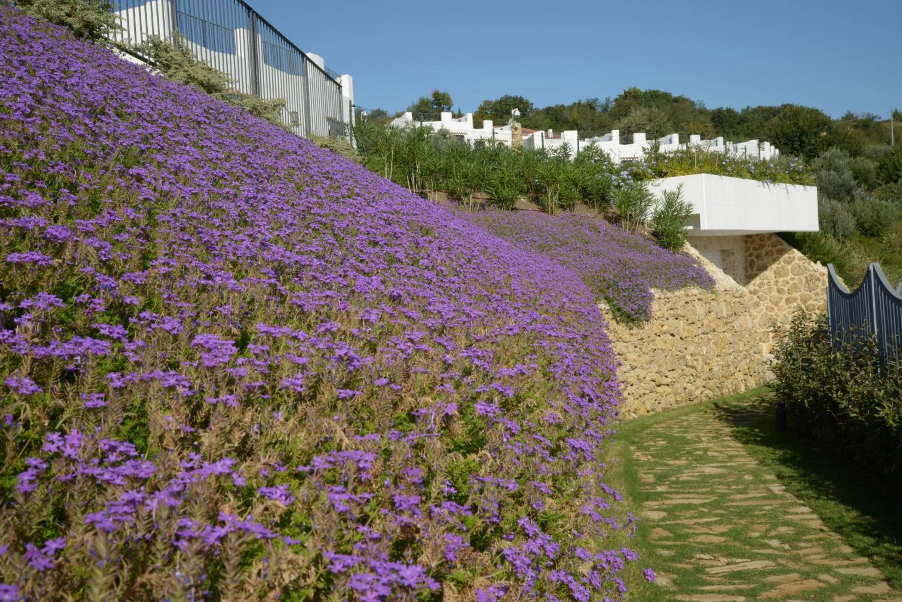 Spring in Baia Delphis Resort